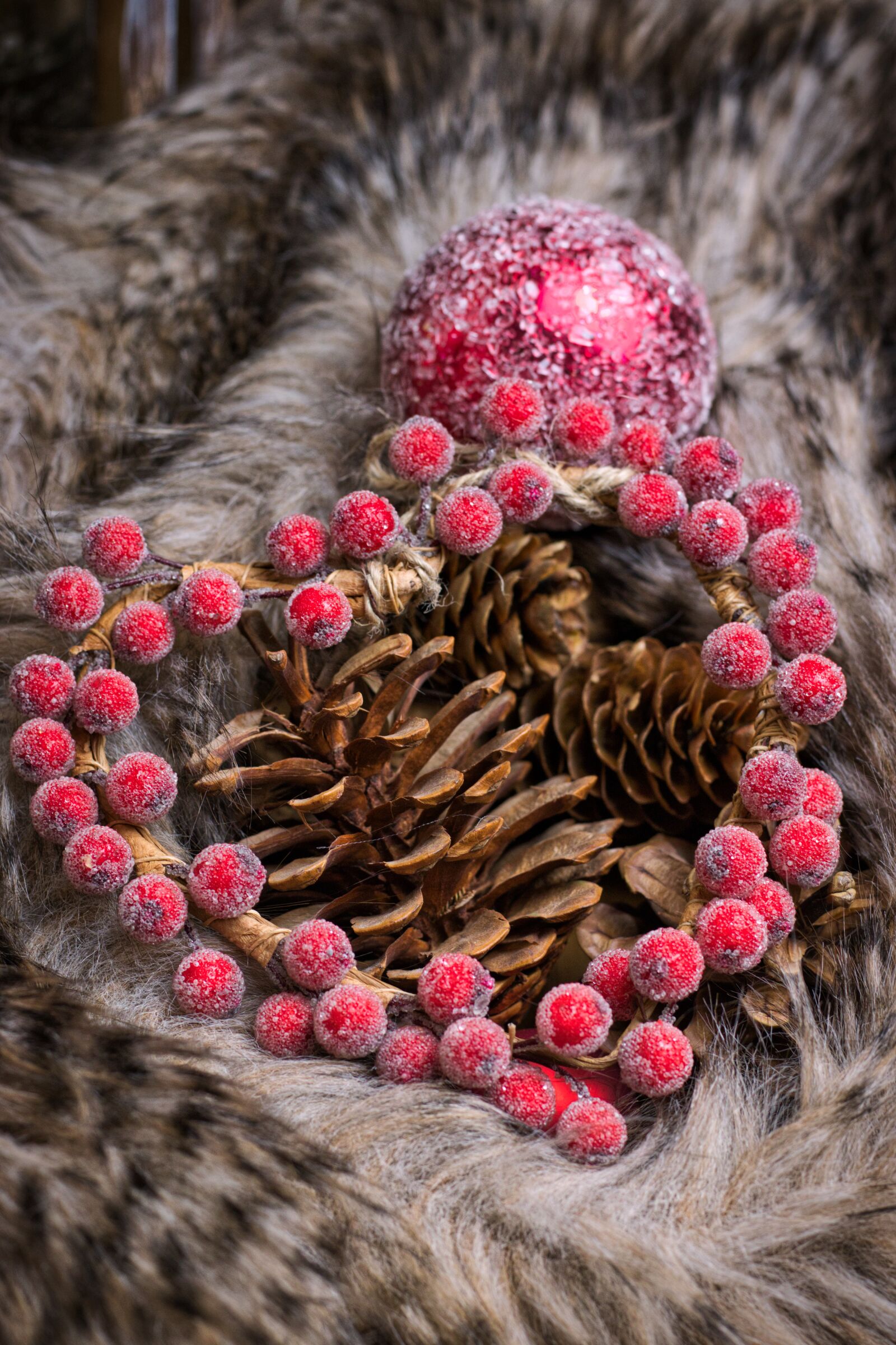 Canon EOS 200D (EOS Rebel SL2 / EOS Kiss X9) + Canon EF 50mm F1.8 STM sample photo. Heart, fur, pine cones photography