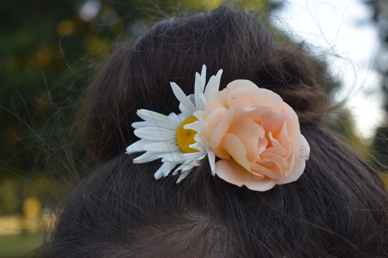Nikon D3500 sample photo. Flower, white, bloom photography