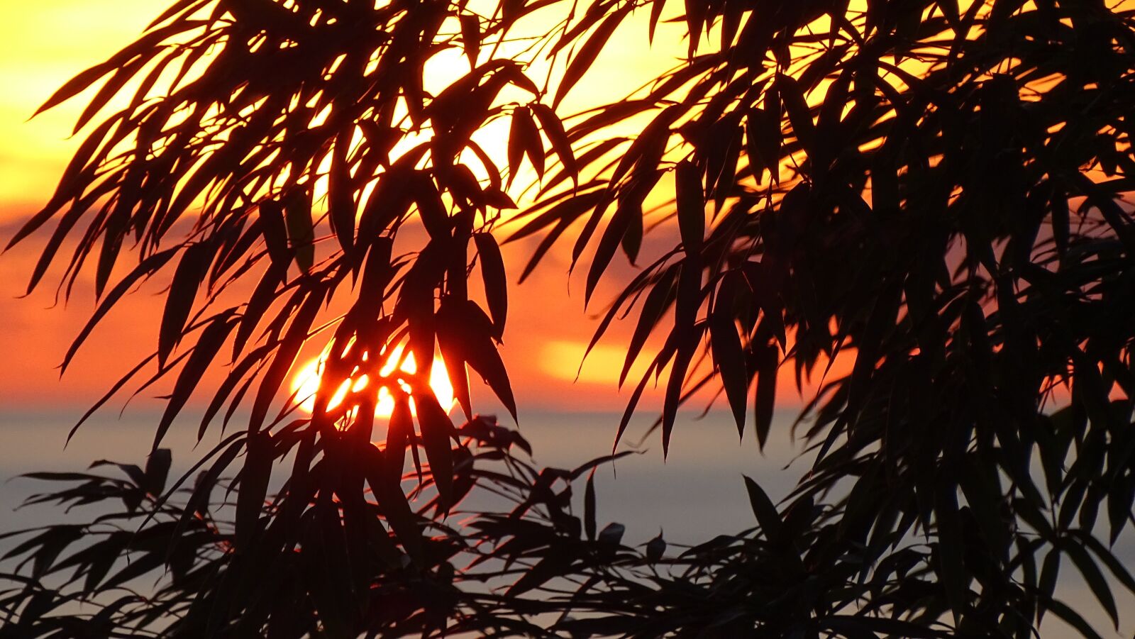 Sony DSC-HX400 sample photo. Silhouette, sunset, sea photography