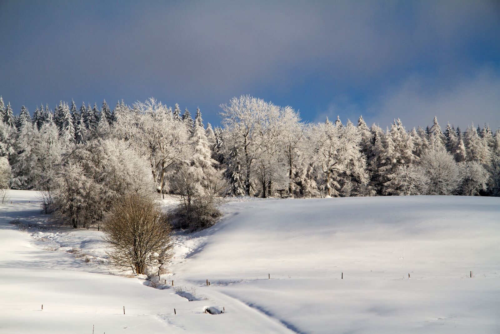 Canon EOS 7D sample photo. Winter, snow, wintry photography