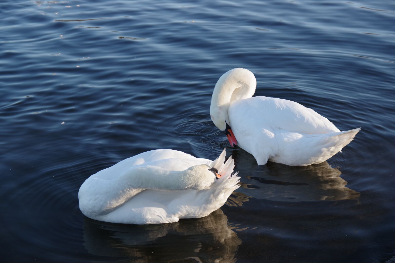 Pentax K-70 sample photo. Water bodies, nature, the photography