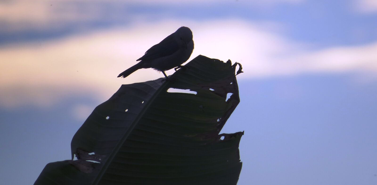Canon PowerShot SX50 HS sample photo. Landscapes, area, kettle photography