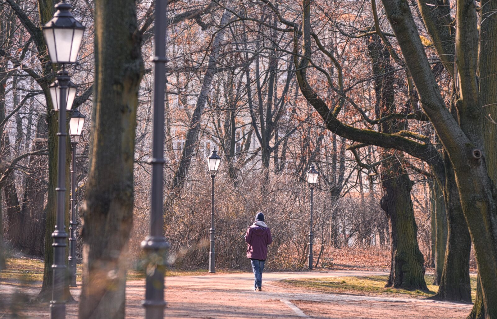 Pentax K-30 sample photo. Park, walk, nature photography