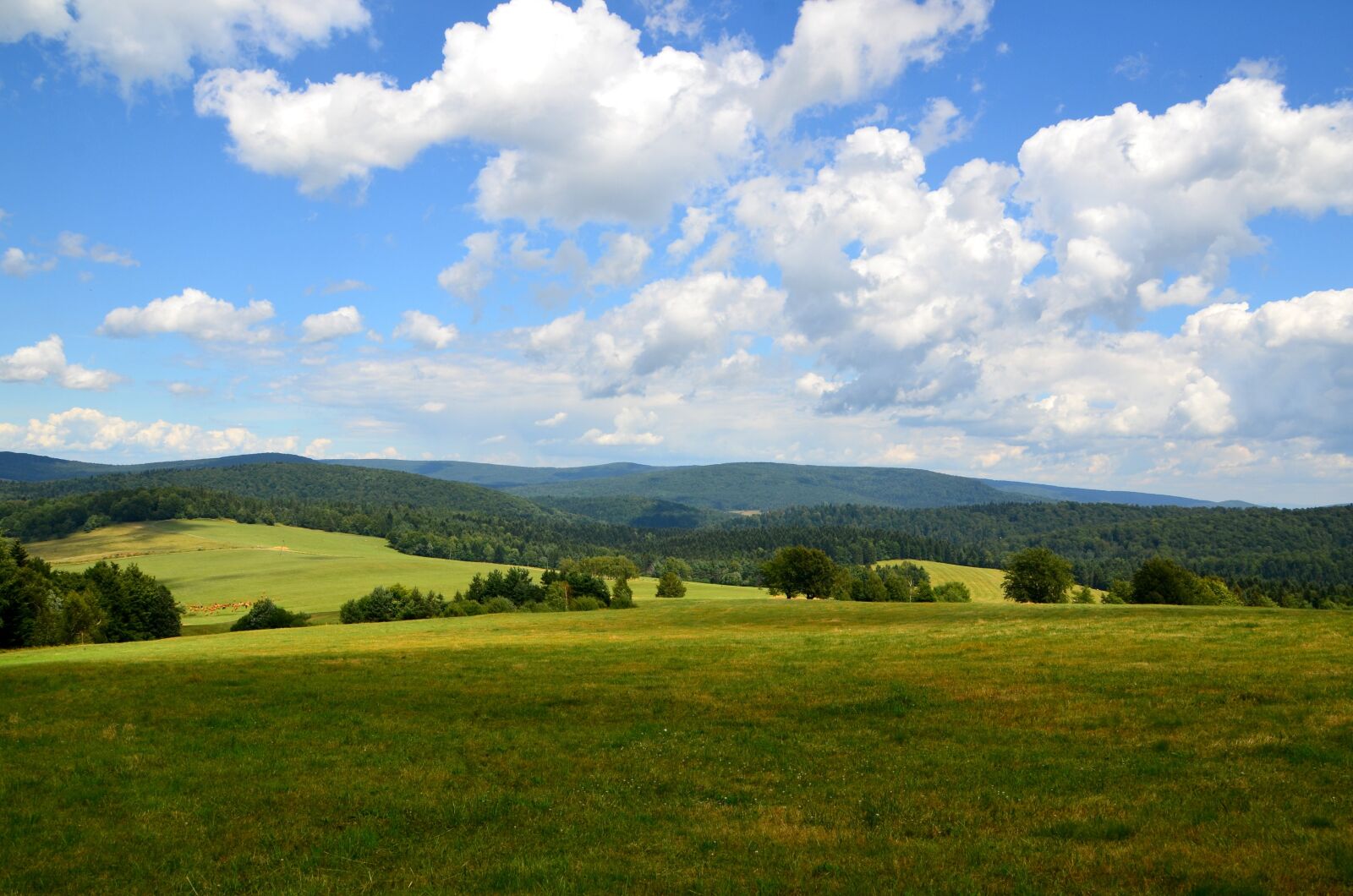 Nikon D7000 sample photo. Summer, panorama, mountains photography