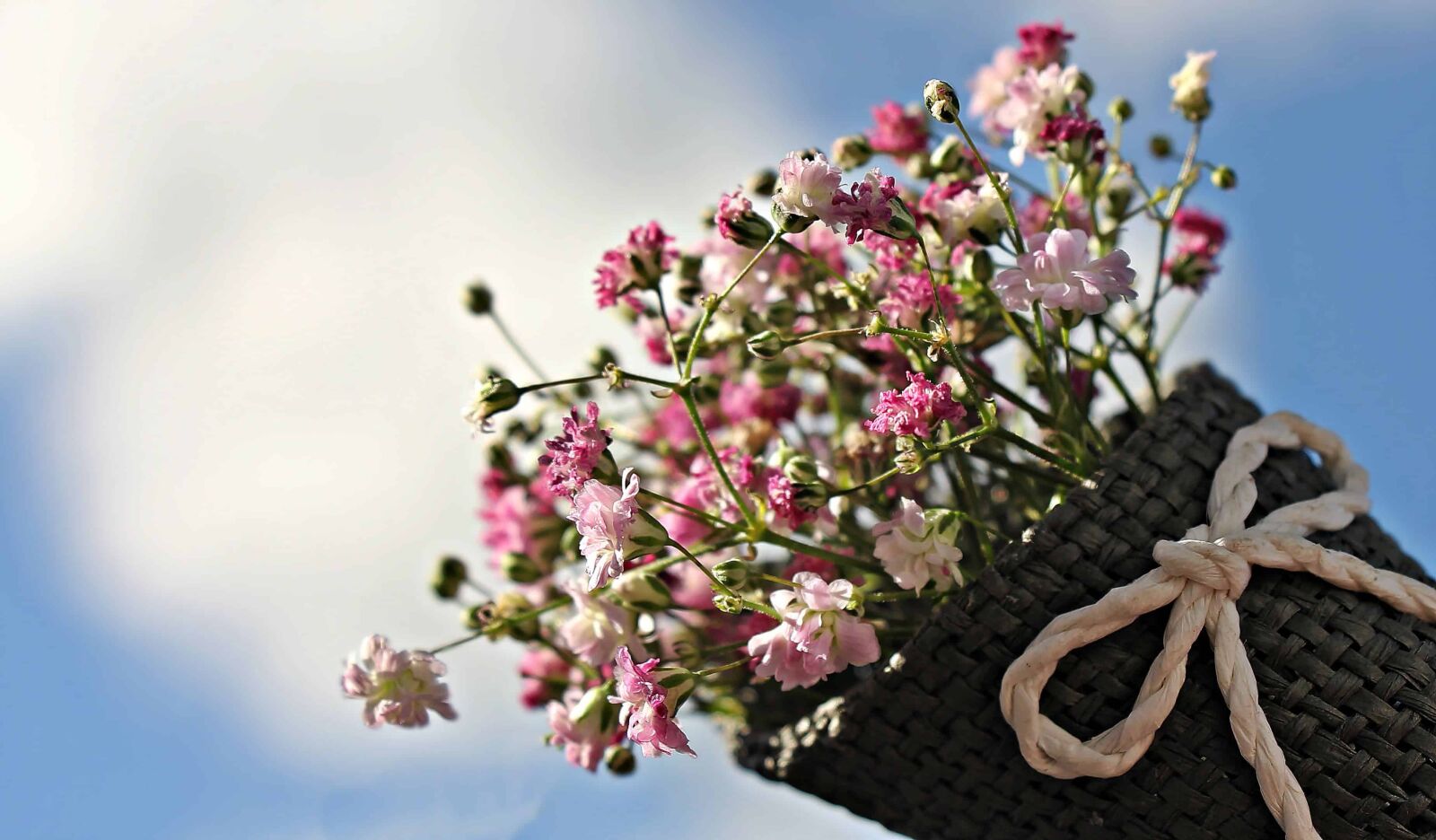 Canon EOS 550D (EOS Rebel T2i / EOS Kiss X4) sample photo. Still life, blue sky photography