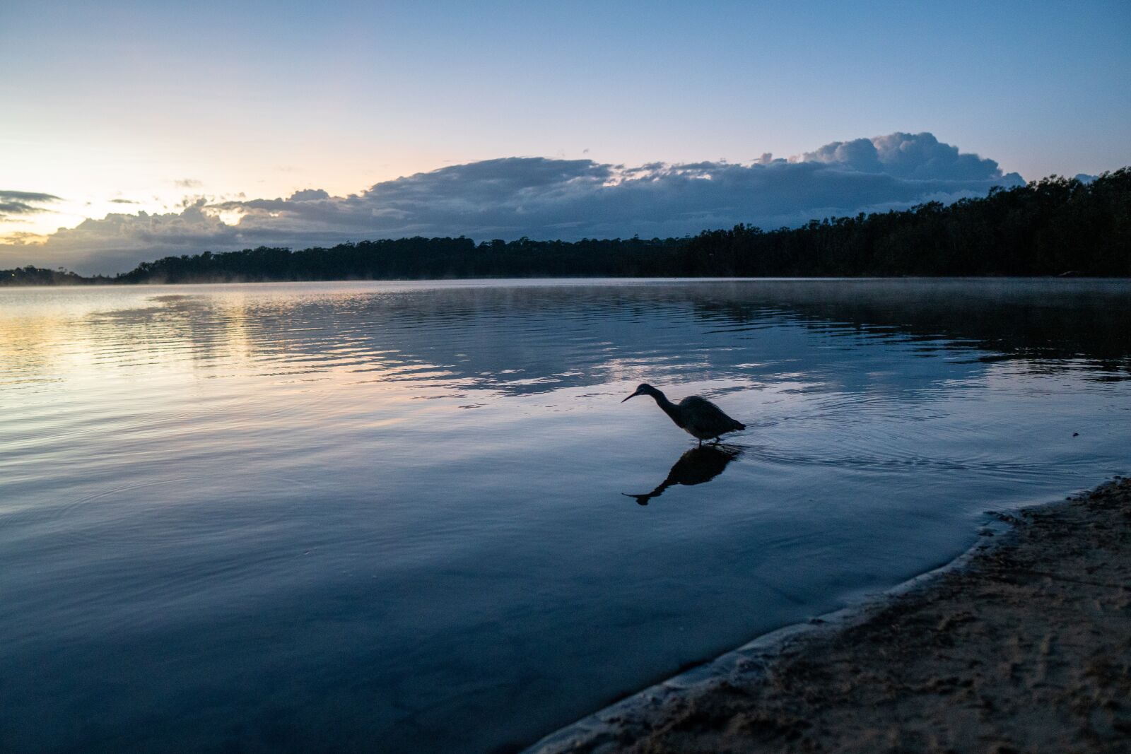 Sony a6300 sample photo. Sunrise, heron, lake photography