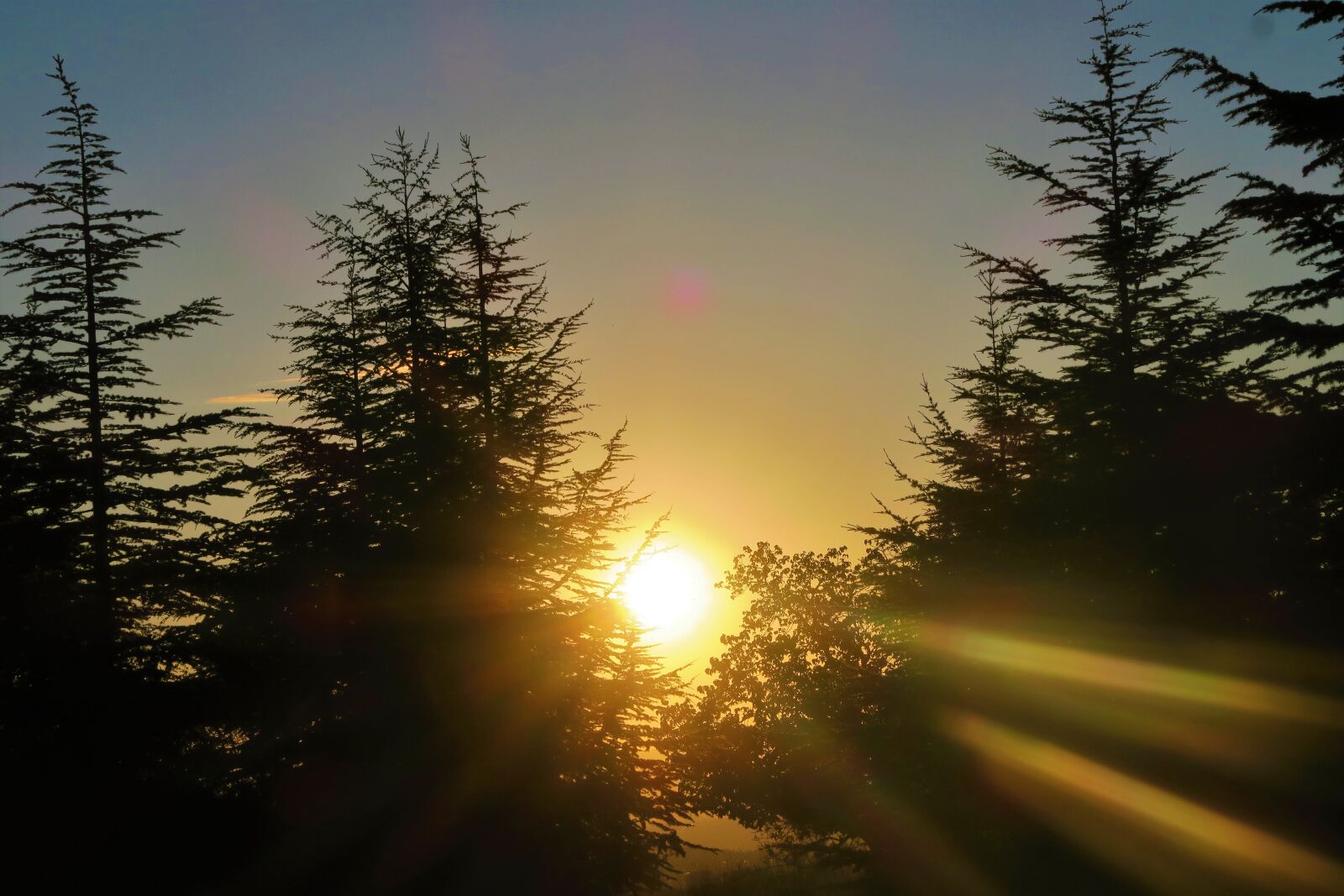 Canon PowerShot G7 X sample photo. Sunset, solar, sky photography