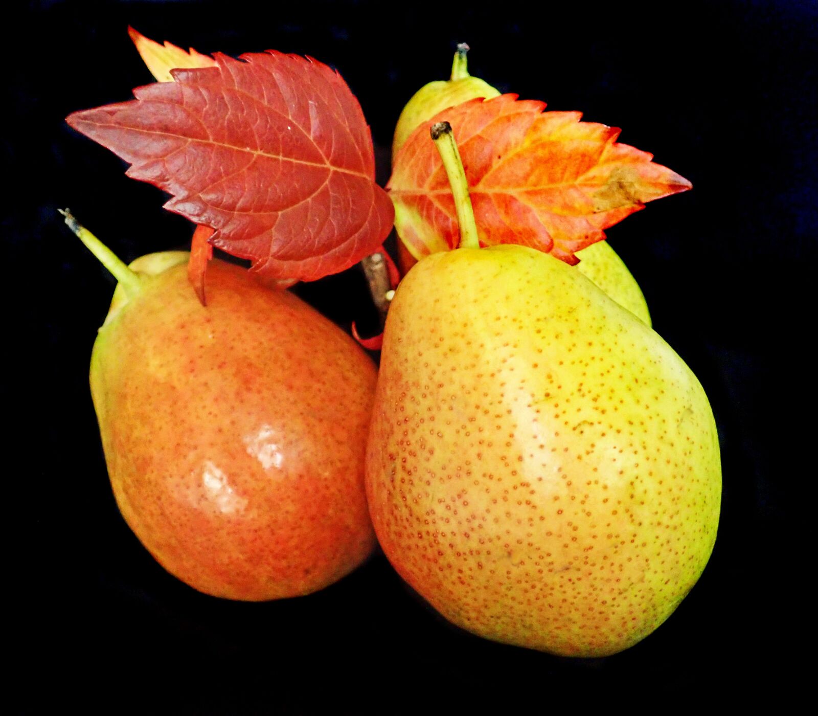 Olympus TG-5 sample photo. Fruit, corella, australian photography