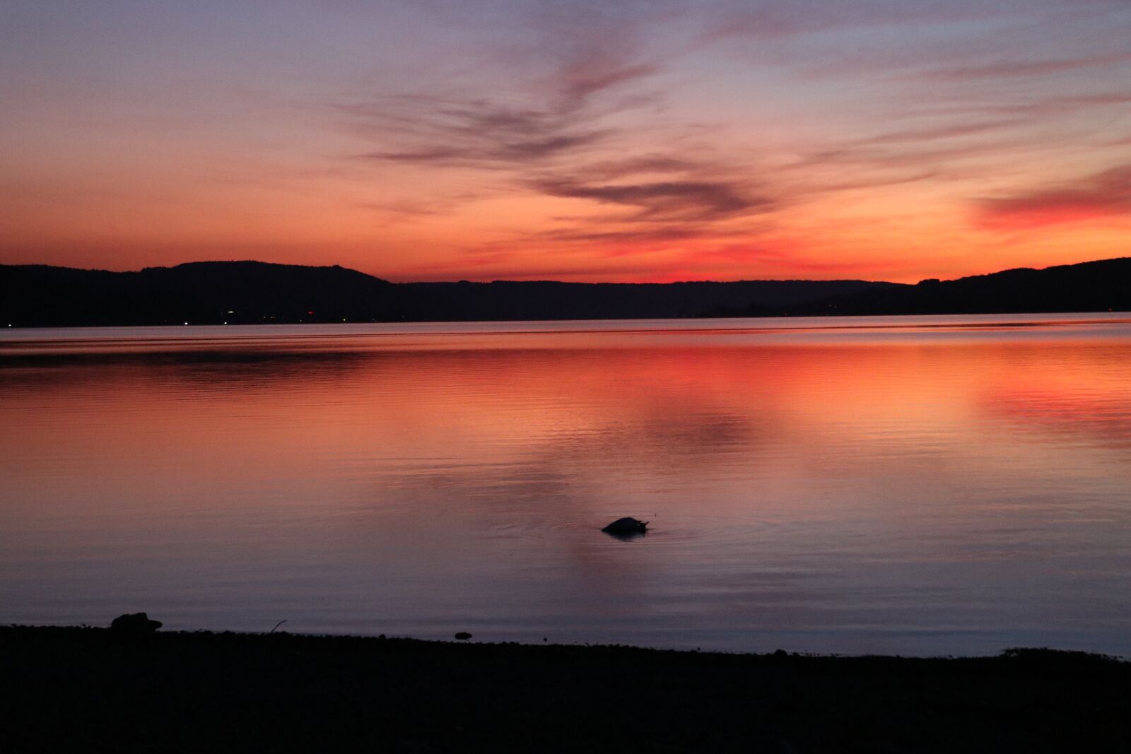 Canon EF-S 18-135mm F3.5-5.6 IS USM sample photo. Reichenau, island, lake constance photography