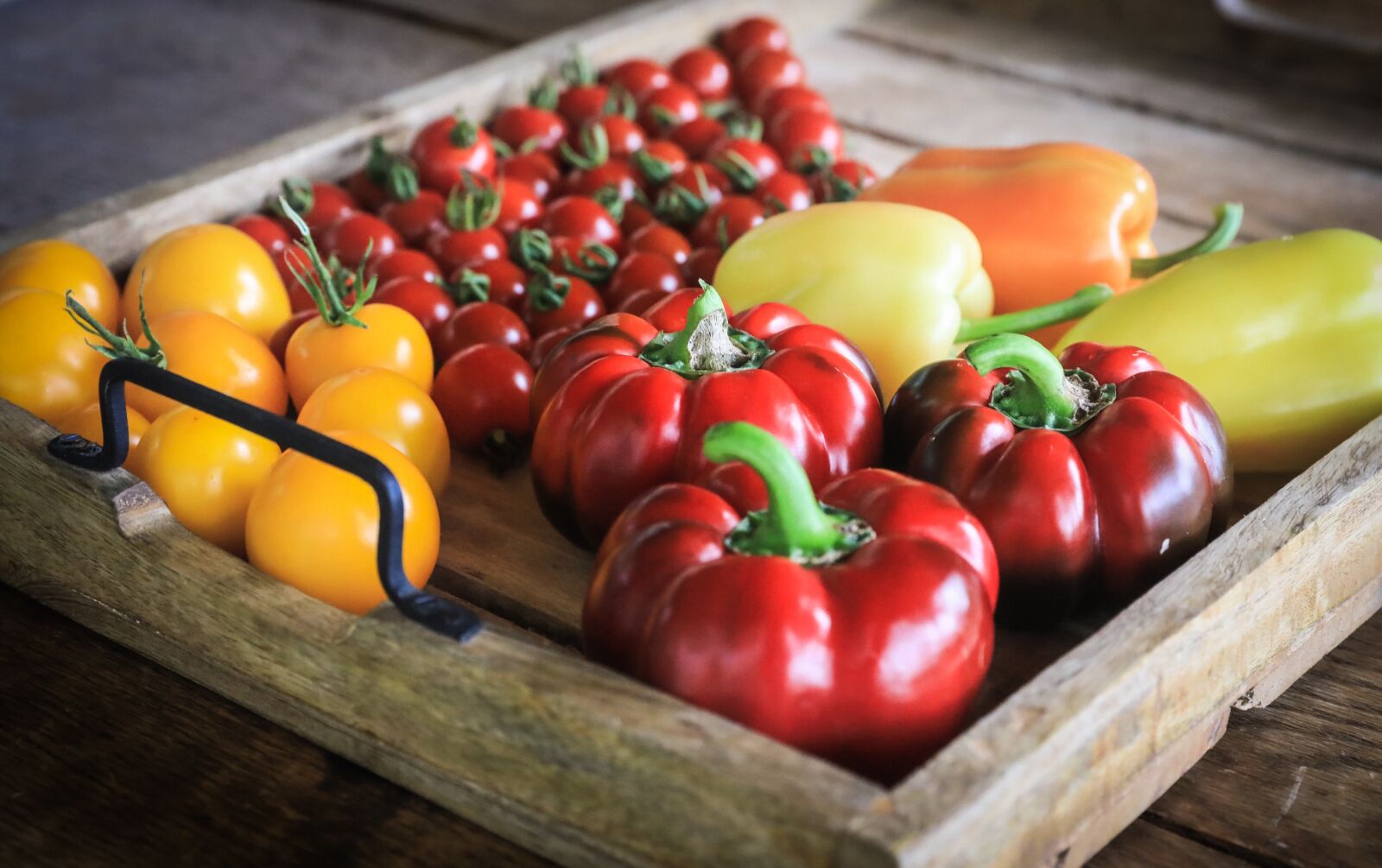 Canon EOS 5D Mark IV sample photo. Vegetables, pepper, tomatoes photography
