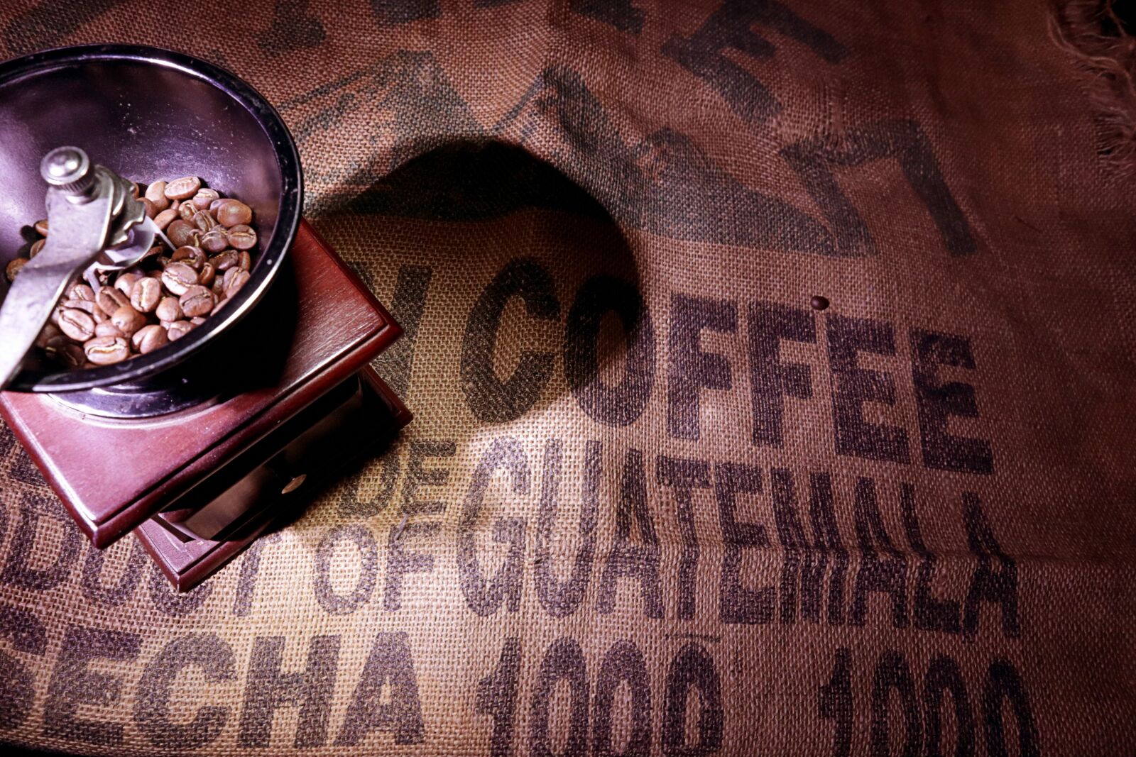 Canon EOS M50 (EOS Kiss M) sample photo. Coffee, grain, drink photography