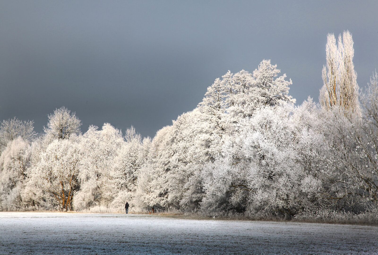 Canon EOS 5D Mark II sample photo. Winter, hoarfrost, wintry photography