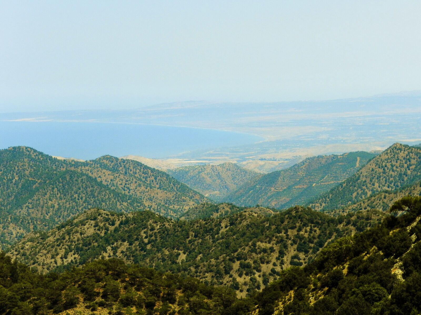 Nikon Coolpix P500 sample photo. Cyprus, mountains, pine photography