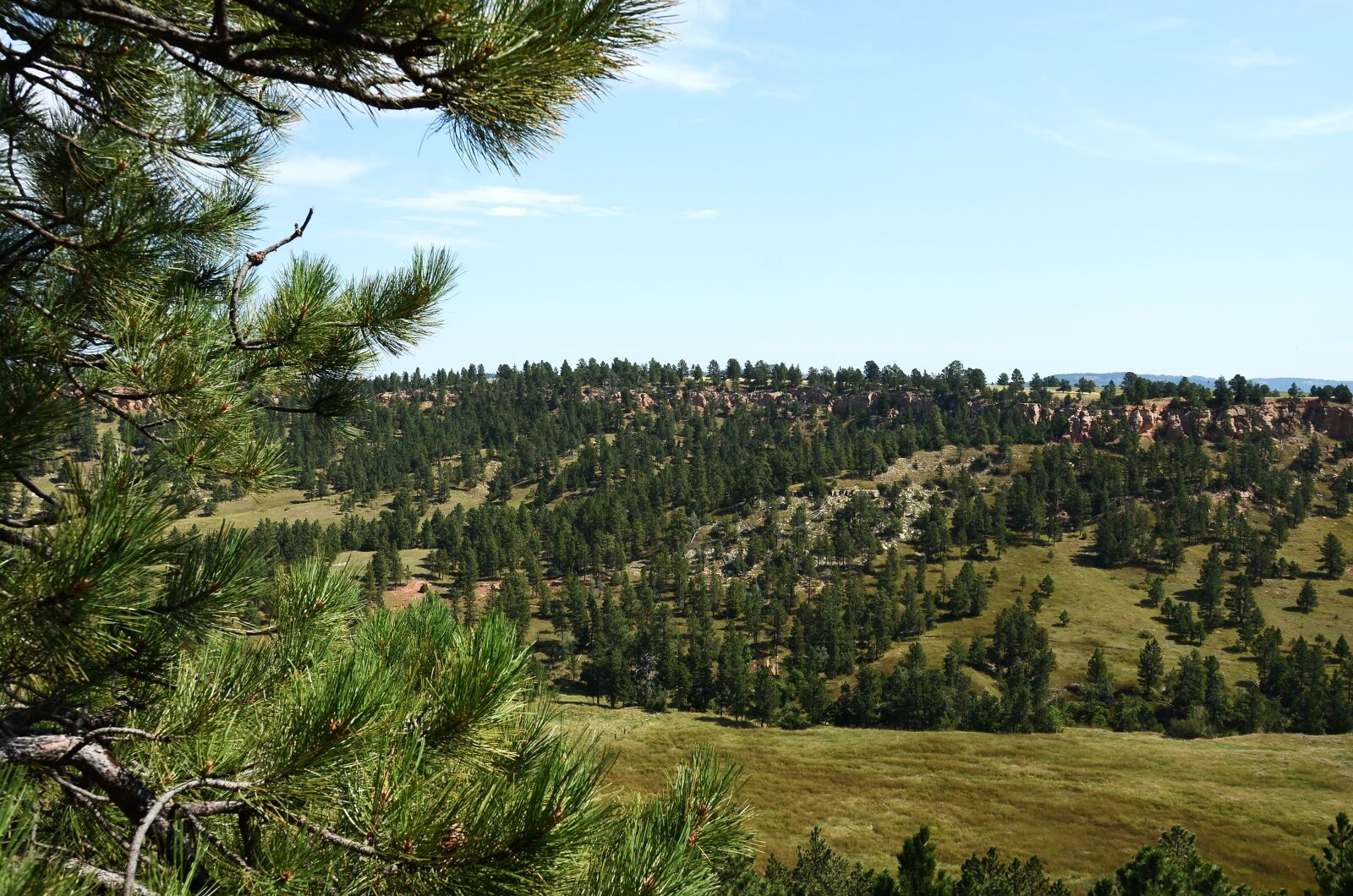 Nikon D7000 sample photo. Black hills, south dakota photography