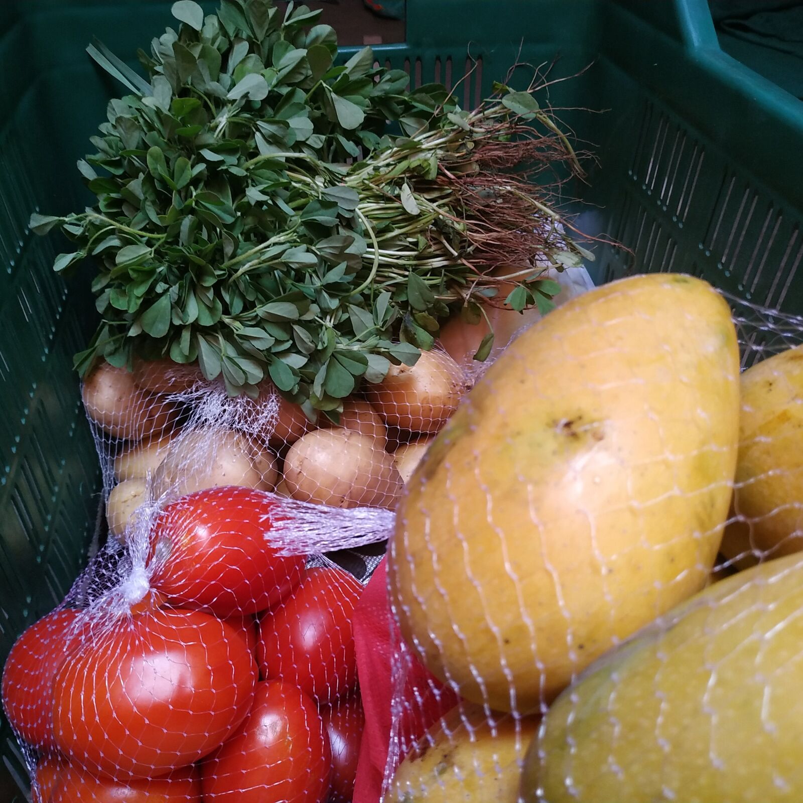 Xiaomi Redmi Note 6 Pro sample photo. Organic vegetable, fruits, tomato photography
