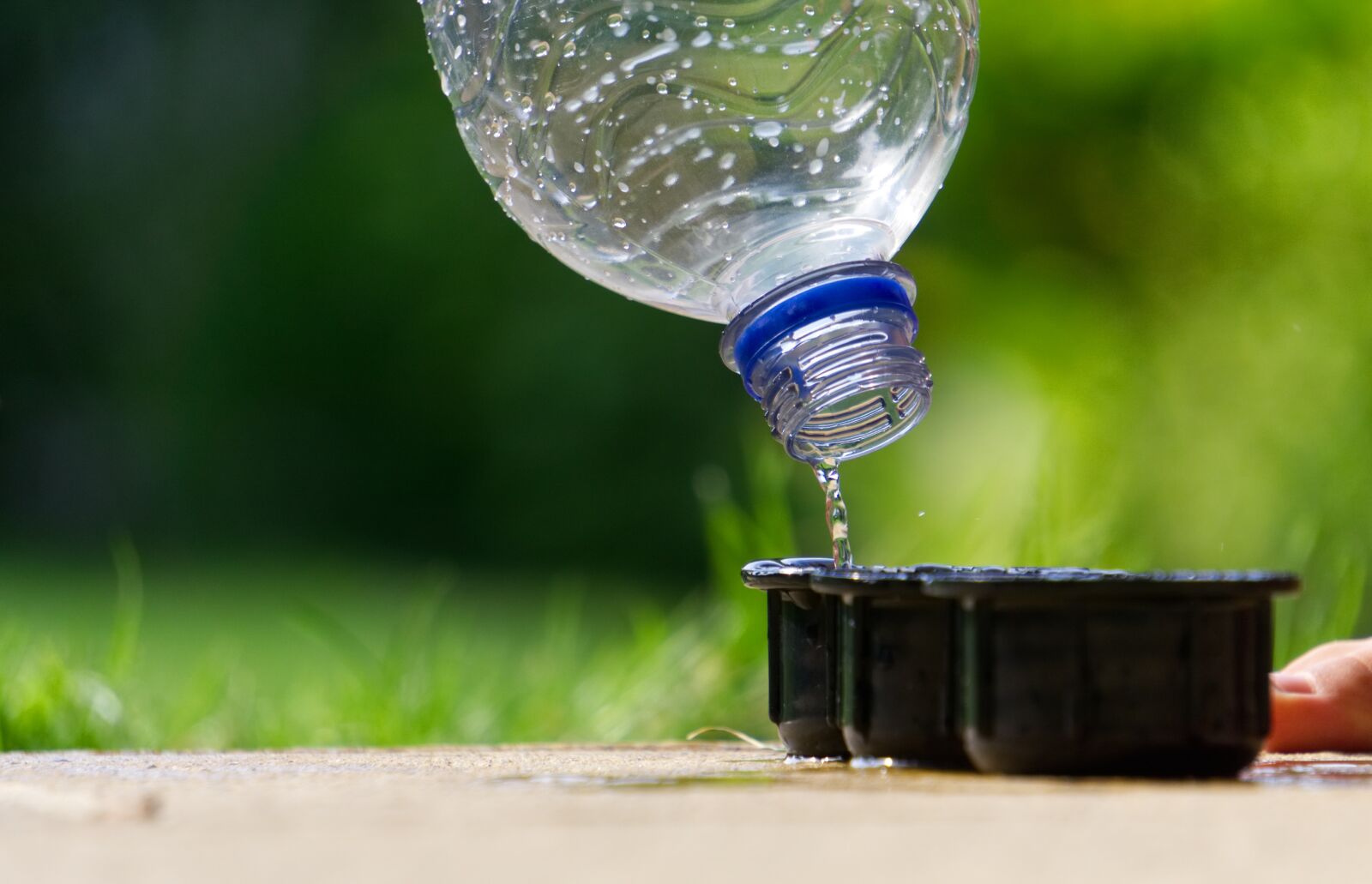 Sony a6000 sample photo. Water, casting, flow bottle photography