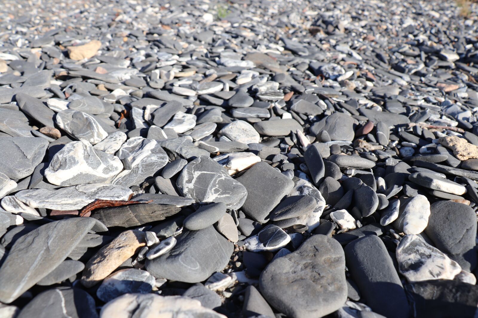 Canon EOS 800D (EOS Rebel T7i / EOS Kiss X9i) sample photo. Rocks, lake, nature photography