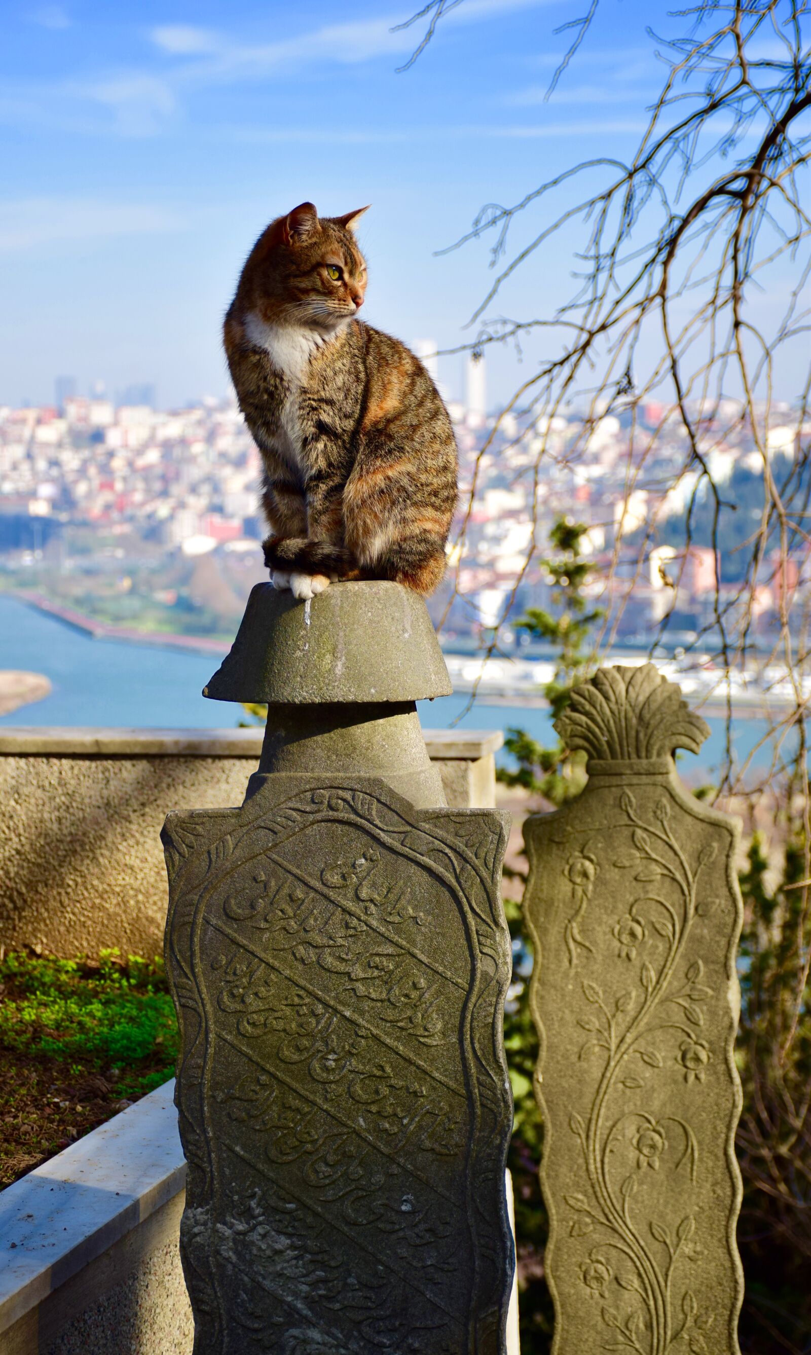 Nikon D5300 sample photo. Istanbul, ey p, pierre photography