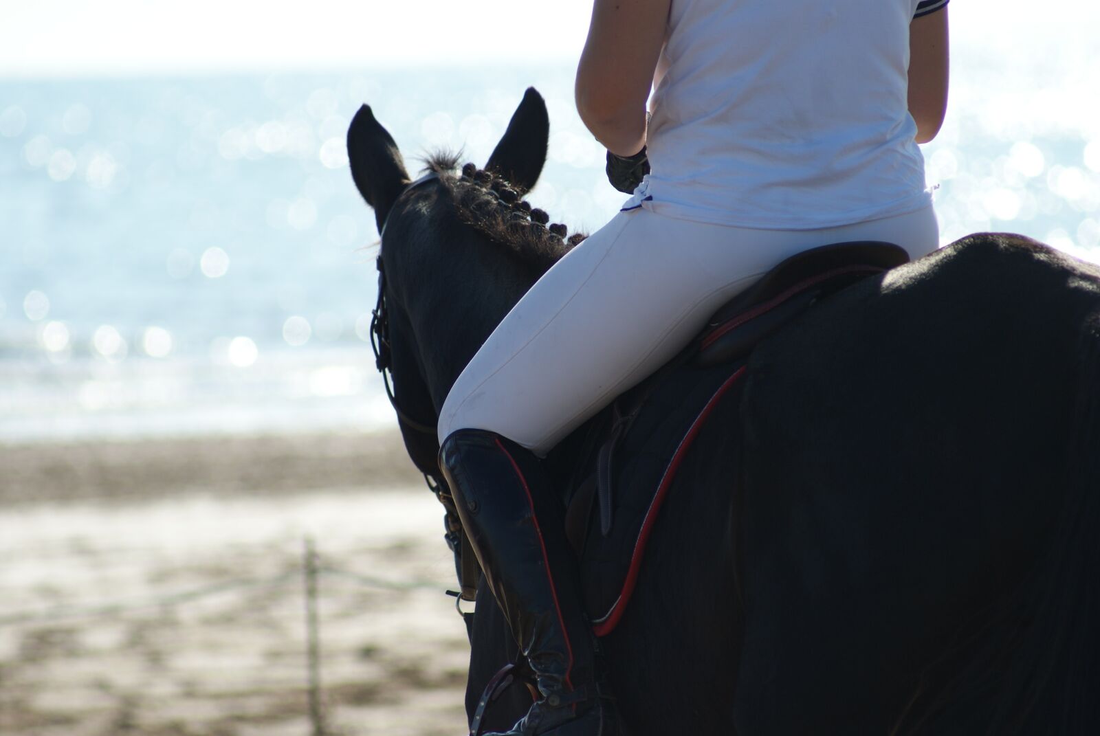 Sony Alpha DSLR-A200 sample photo. Horse, beach, sea photography