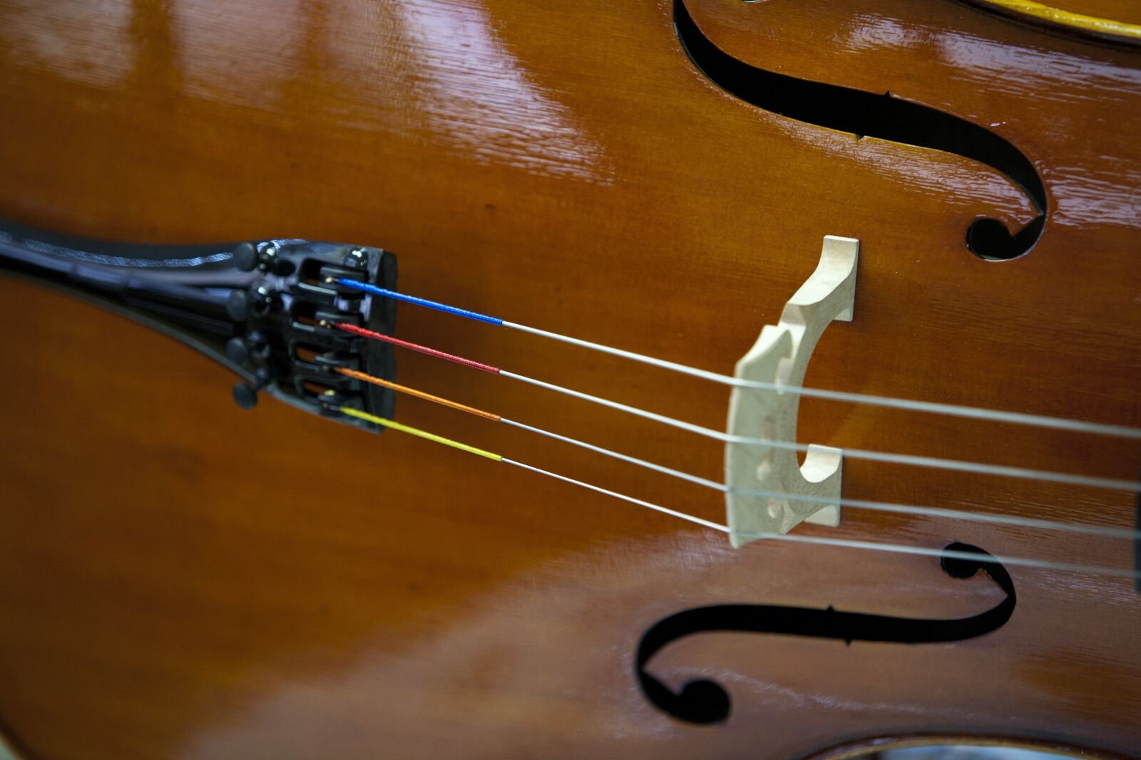 Canon EOS 5D sample photo. Violin, music, instrument photography