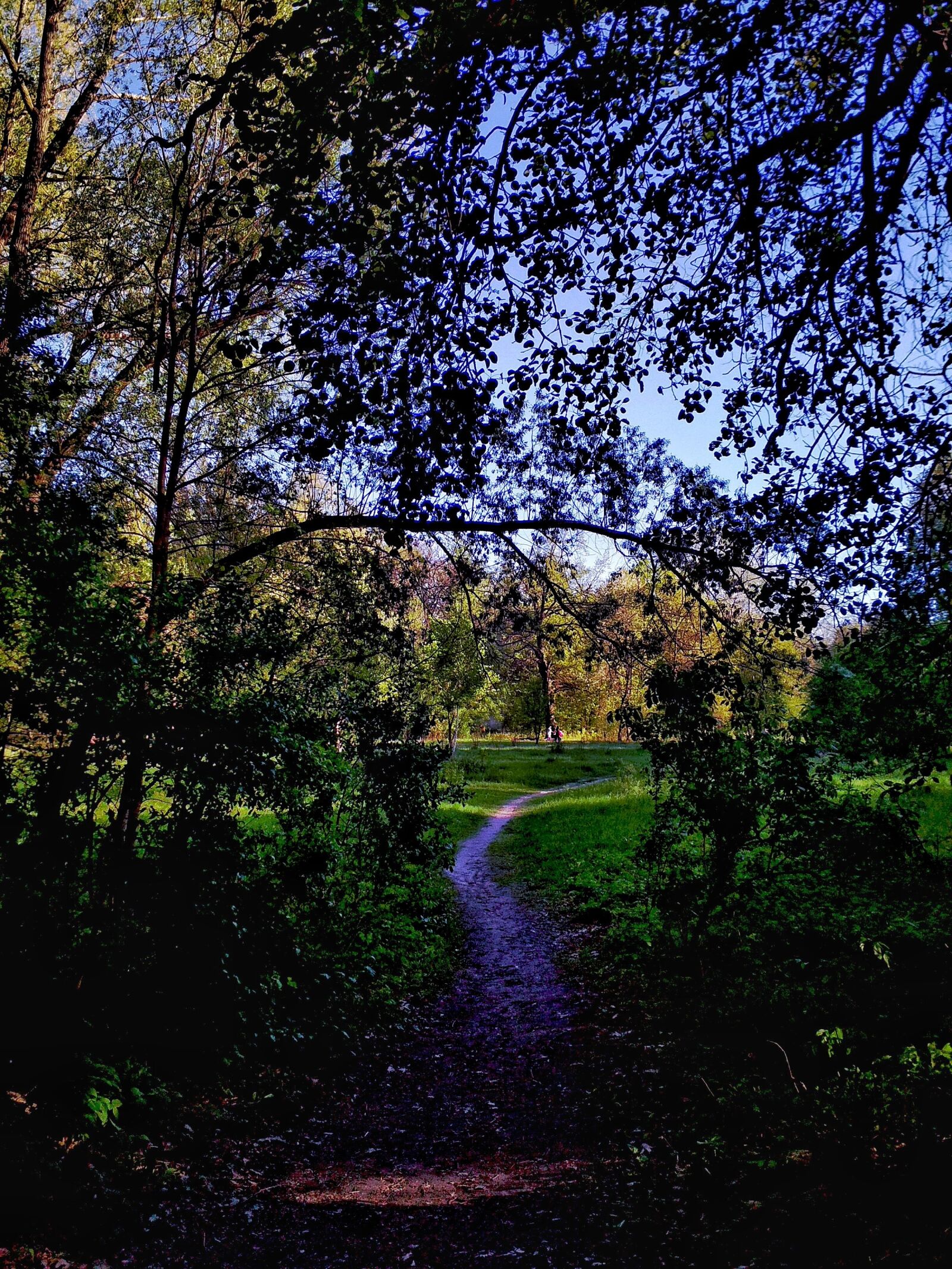 Xiaomi Redmi 4X sample photo. Landscape, nature, track photography
