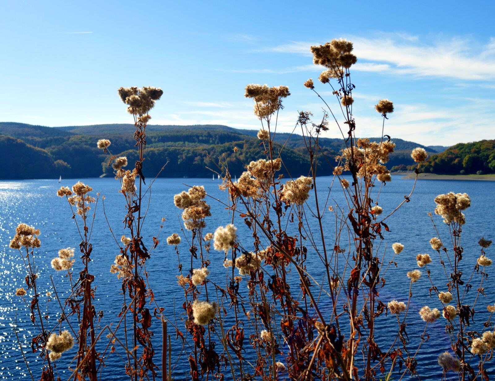 Nikon D3200 sample photo. Rurtalsperre, schwammenauel, eifel photography