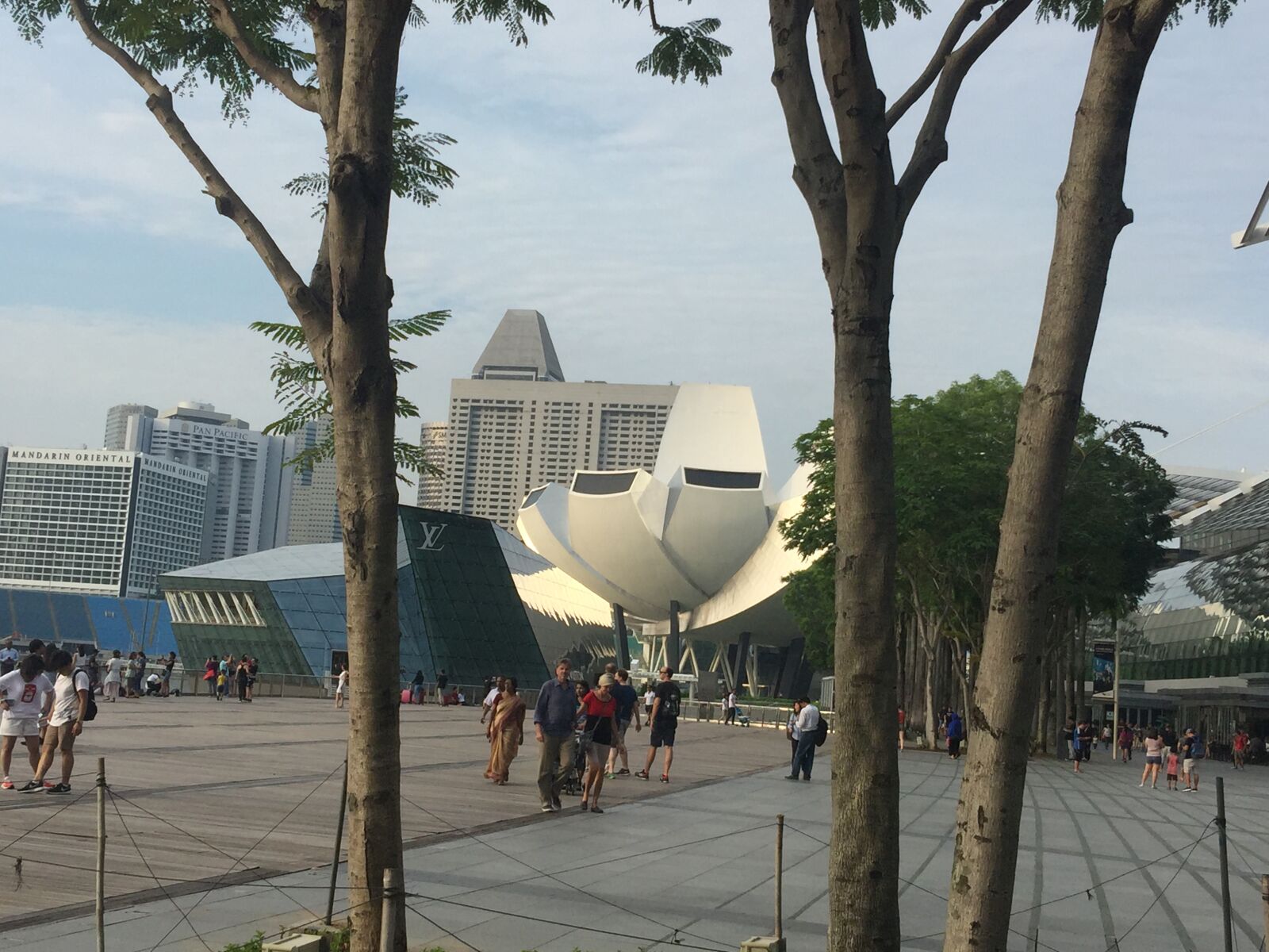 iPhone 6 Plus back camera 4.15mm f/2.2 sample photo. Singapore photography