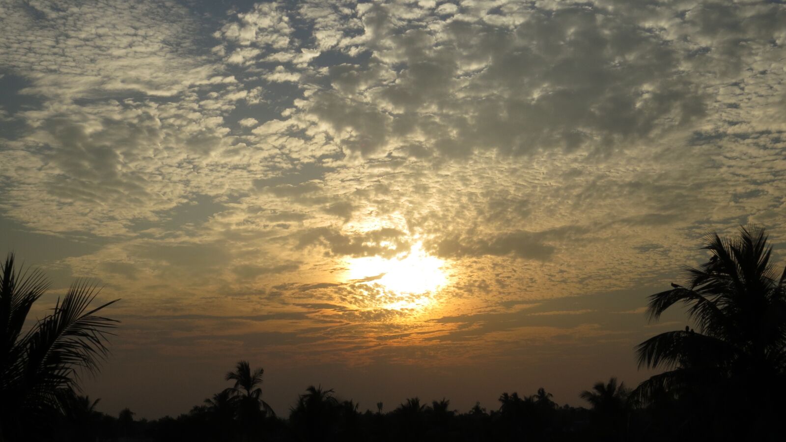 Canon PowerShot SX50 HS sample photo. Cotton sky, sky, different photography