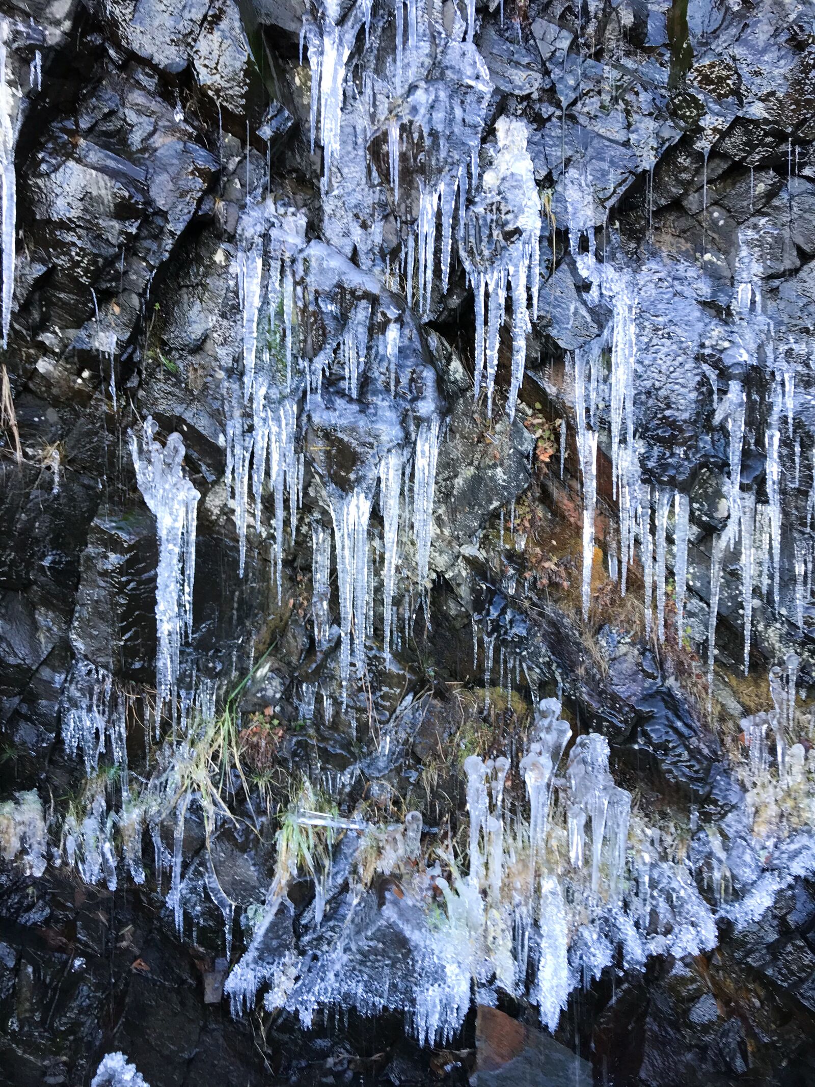 iPhone 7 back camera 3.99mm f/1.8 sample photo. Ice, icicle, winter photography