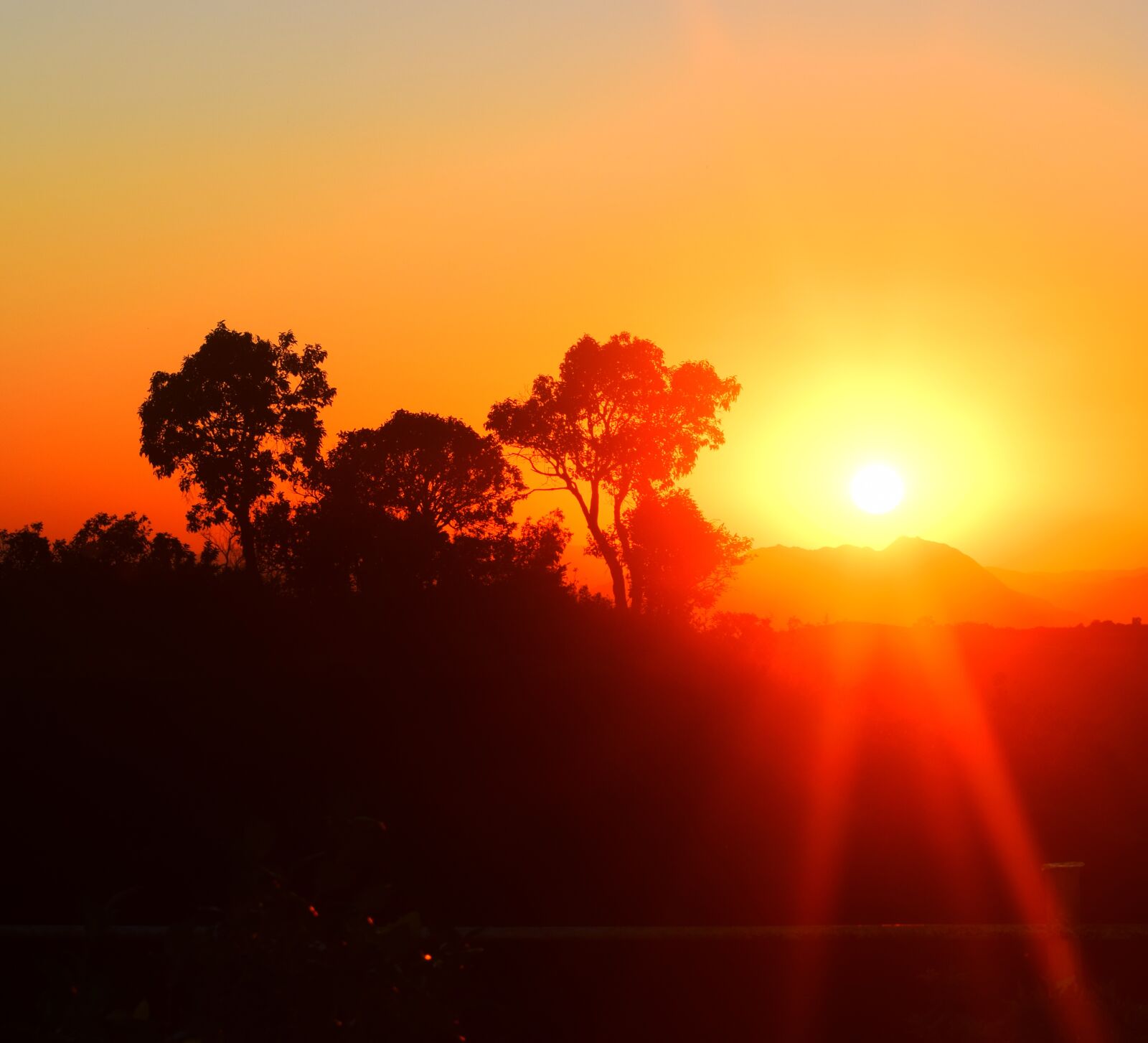 Nikon D3300 sample photo. Sunset, glow, natue photography