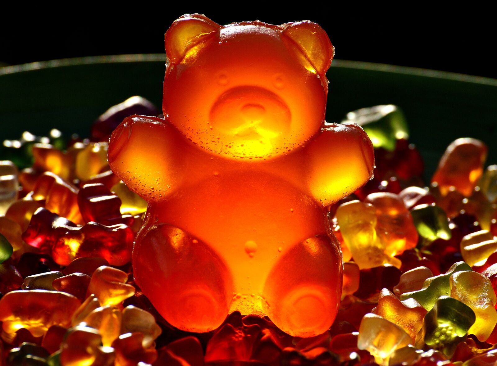 Nikon D3200 sample photo. Gummib rchen, giant rubber photography