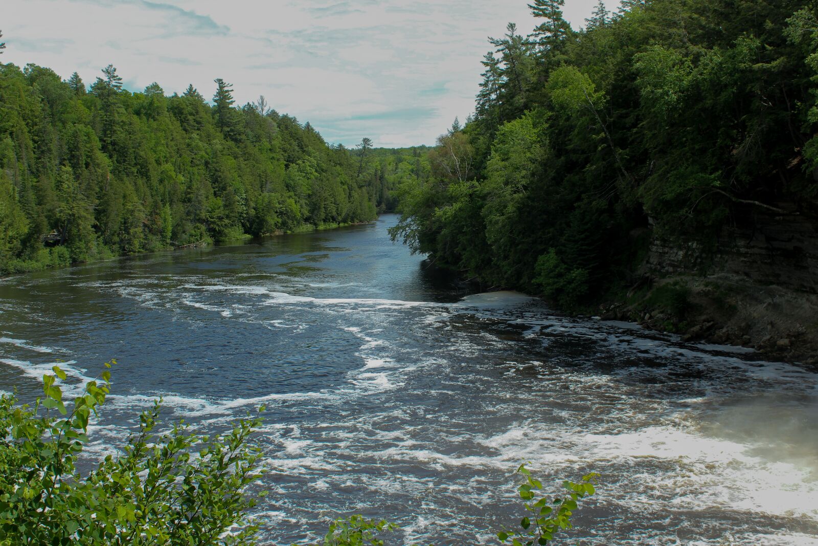 Canon EOS 600D (Rebel EOS T3i / EOS Kiss X5) sample photo. River, forest, nature photography