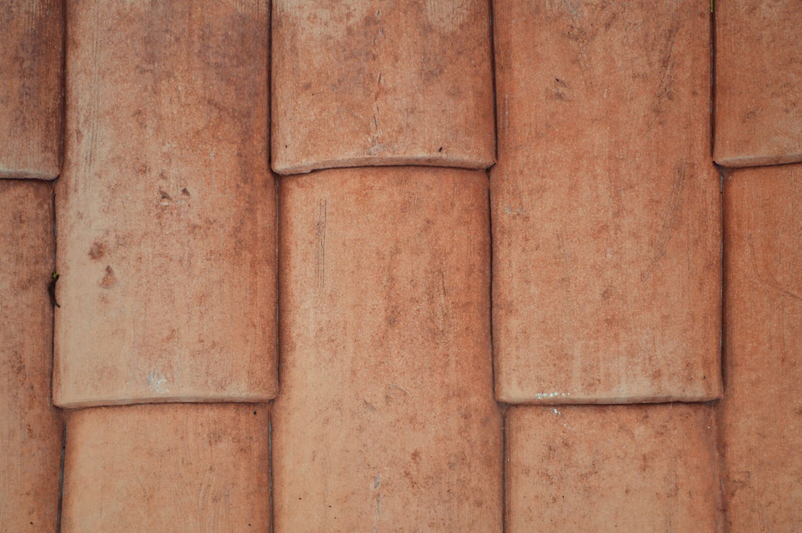 Nikon D3200 sample photo. Texture, roof, tile photography