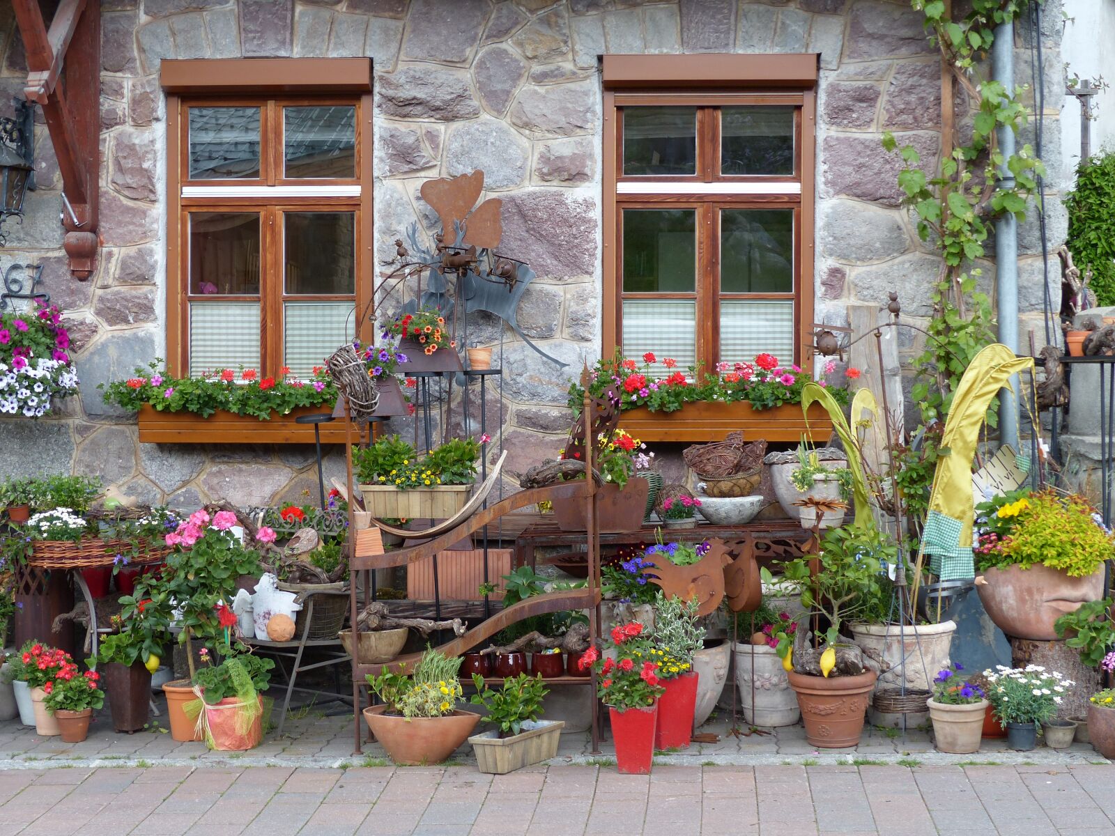 Panasonic Lumix DMC-FZ200 sample photo. Window, flowers, shutter photography