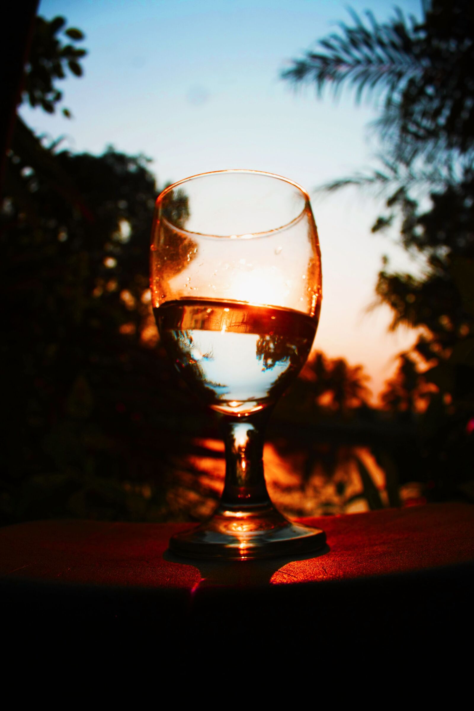Canon EOS 1000D (EOS Digital Rebel XS / EOS Kiss F) sample photo. Sunset, potrait, landscape photography