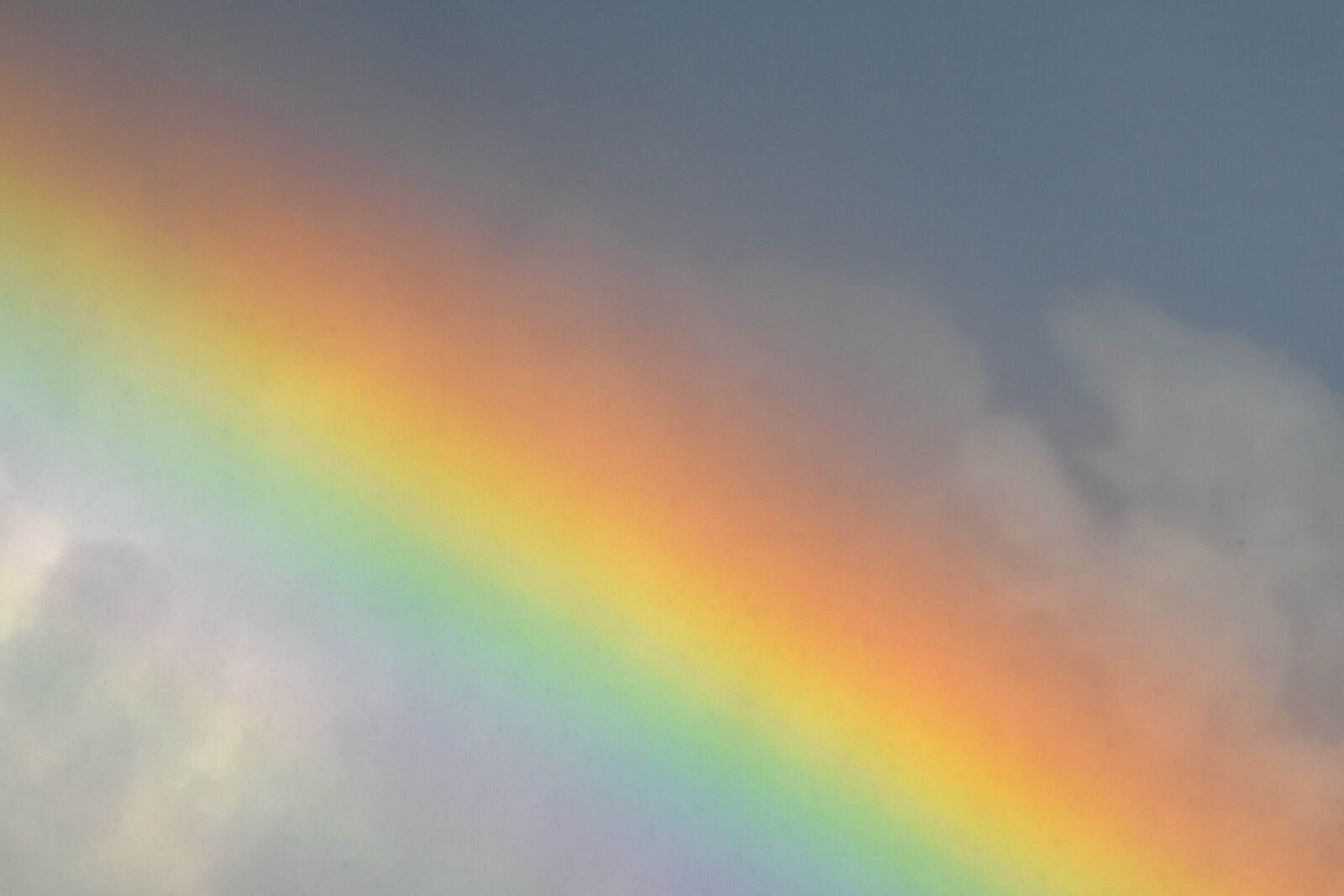 Nikon D5500 sample photo. Rainbow, sun, atmosphere, weather photography