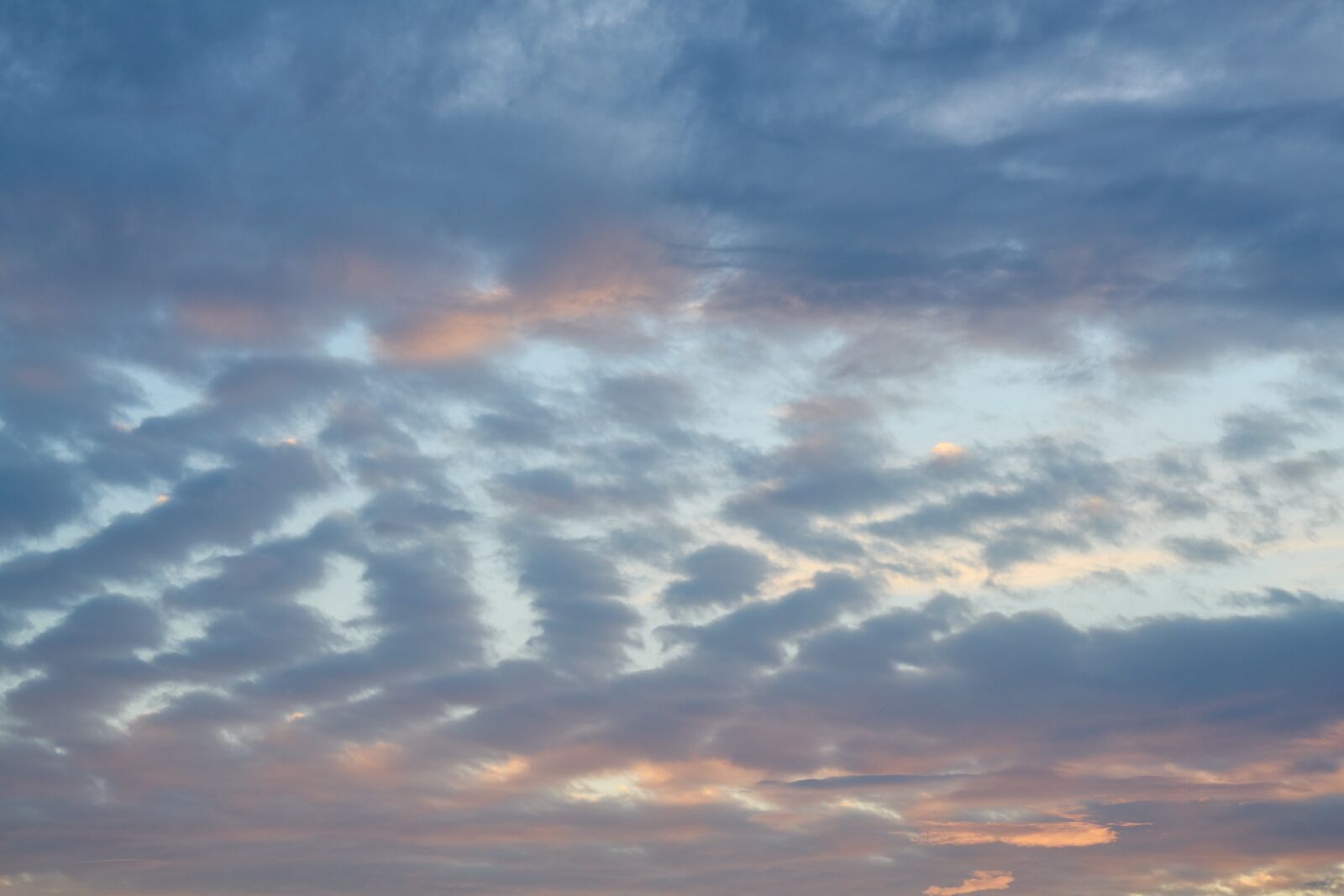 Sigma 85mm F1.4 DG HSM Art sample photo. Sky, clouds, nature photography