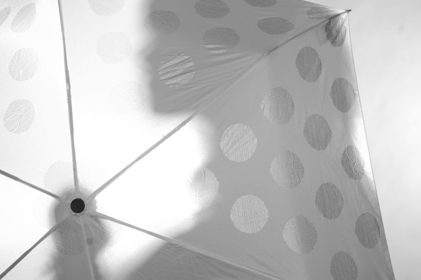Nikon D40 sample photo. Umbrella, woman, girl photography