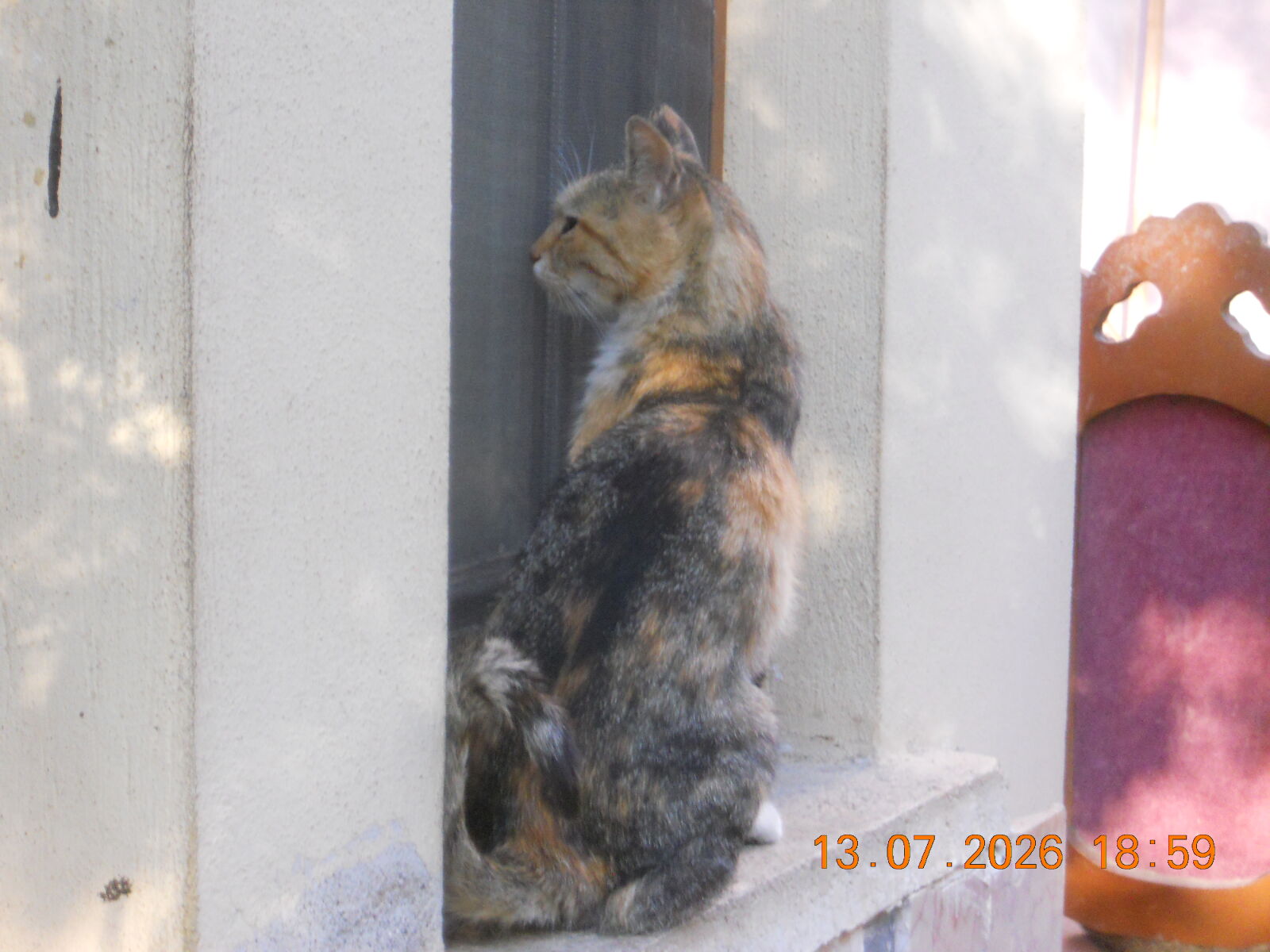 Nikon COOLPIX S2500 sample photo
