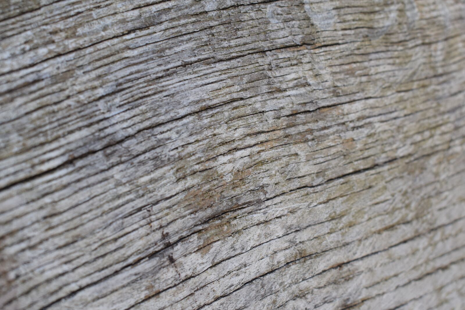 Nikon D3300 sample photo. Wood, worn, barn photography