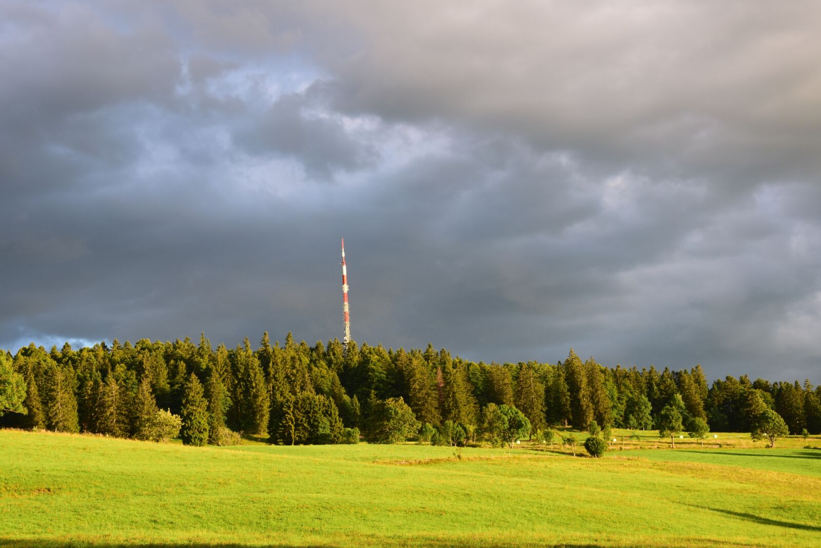 Nikon D5300 sample photo. Fall, forest, antenna photography