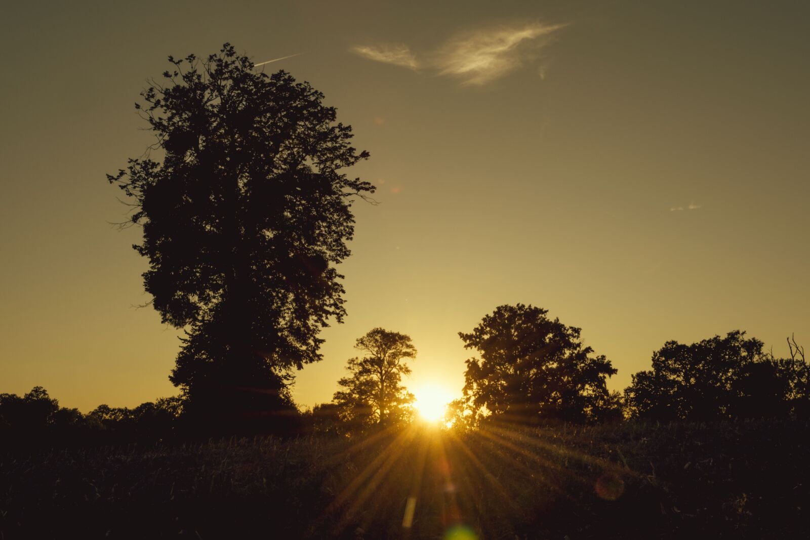 Nikon D5600 sample photo. Twilight, sun, sky photography