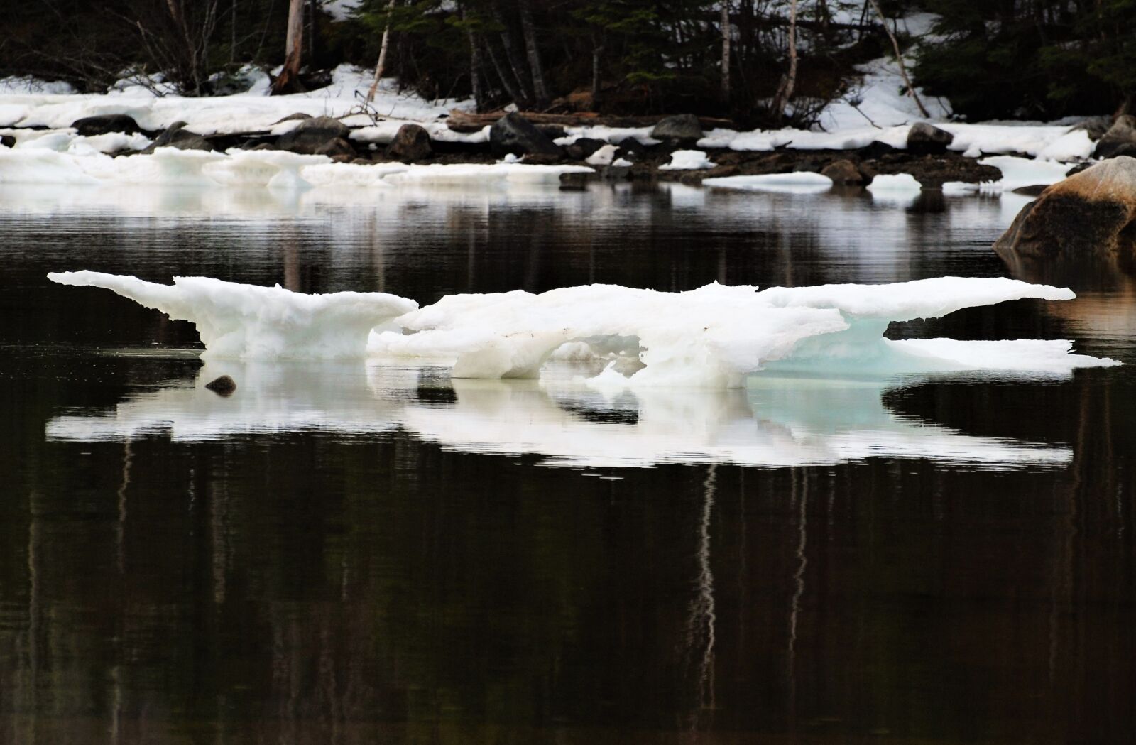 Nikon D80 sample photo. Ice floe, defrost, thaw photography