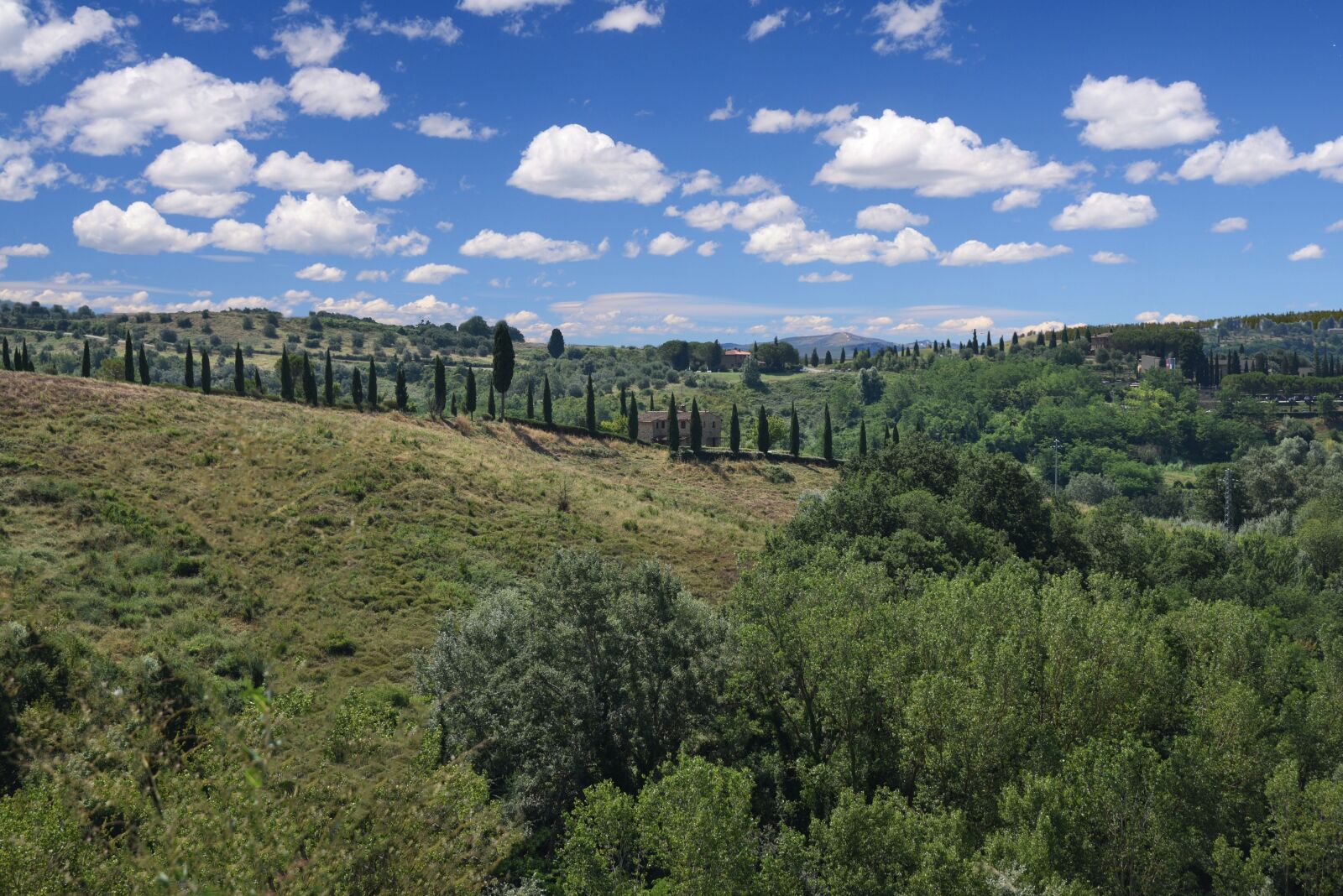 Nikon D750 sample photo. Italy, toscana, green photography
