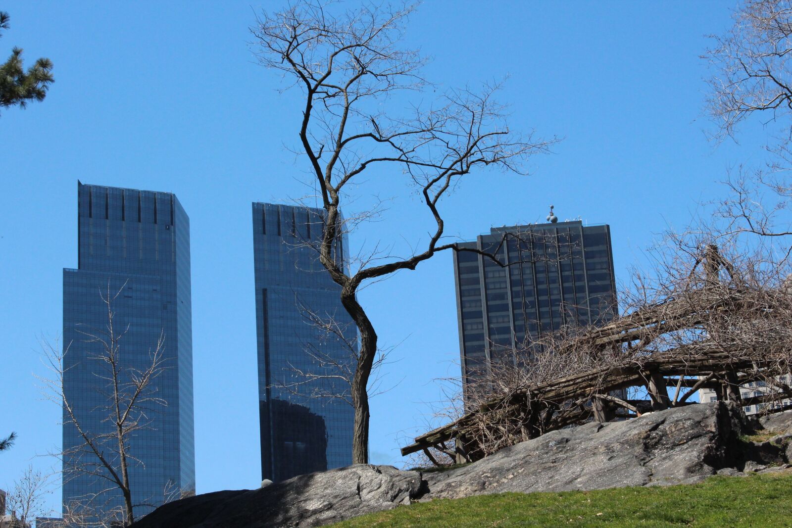 Canon EOS 600D (Rebel EOS T3i / EOS Kiss X5) sample photo. Central park, state, usa photography