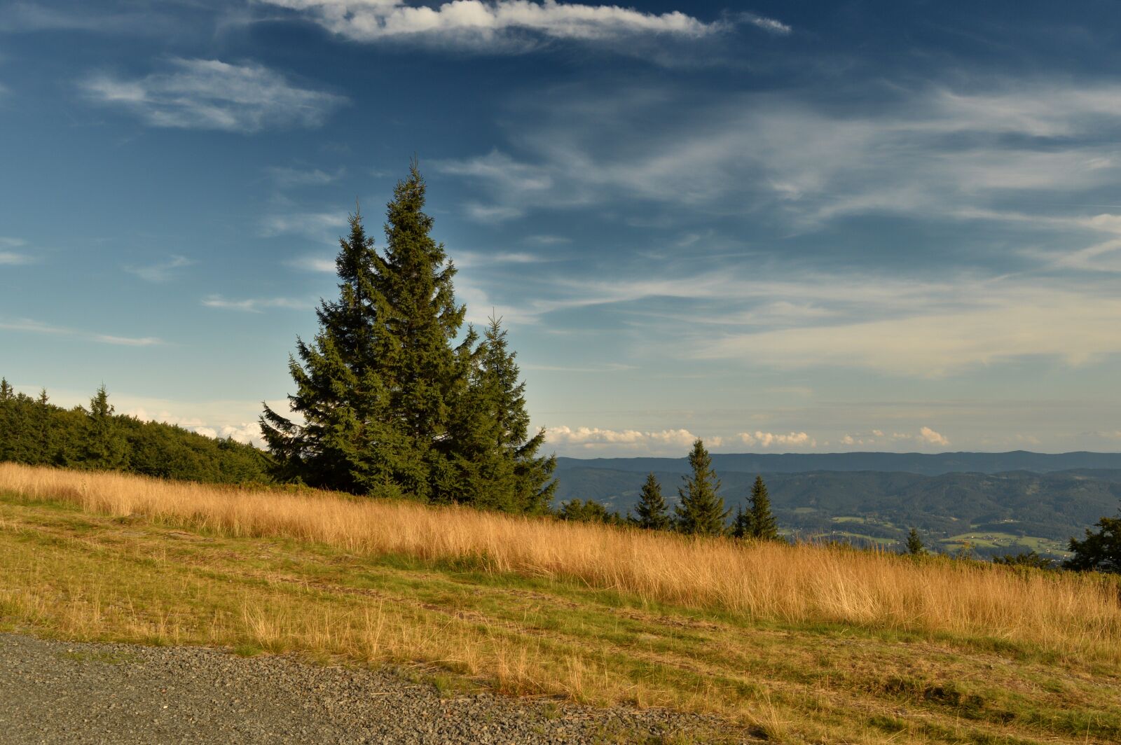Nikon D3200 sample photo. Nature, tree, landscape photography