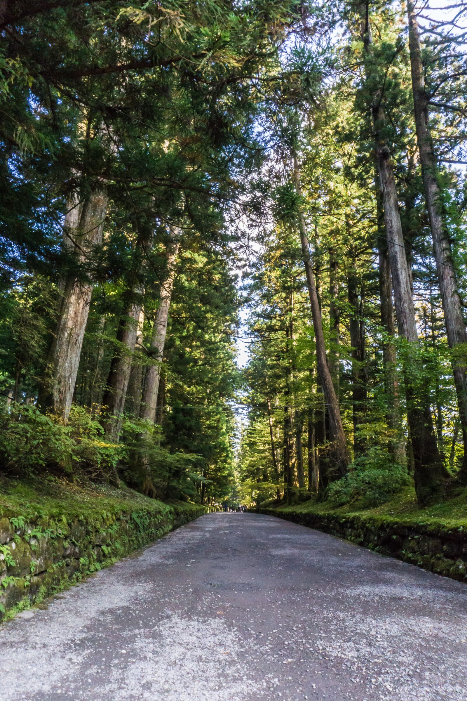 Sony a6000 sample photo. Nikko, world heritage, japan photography