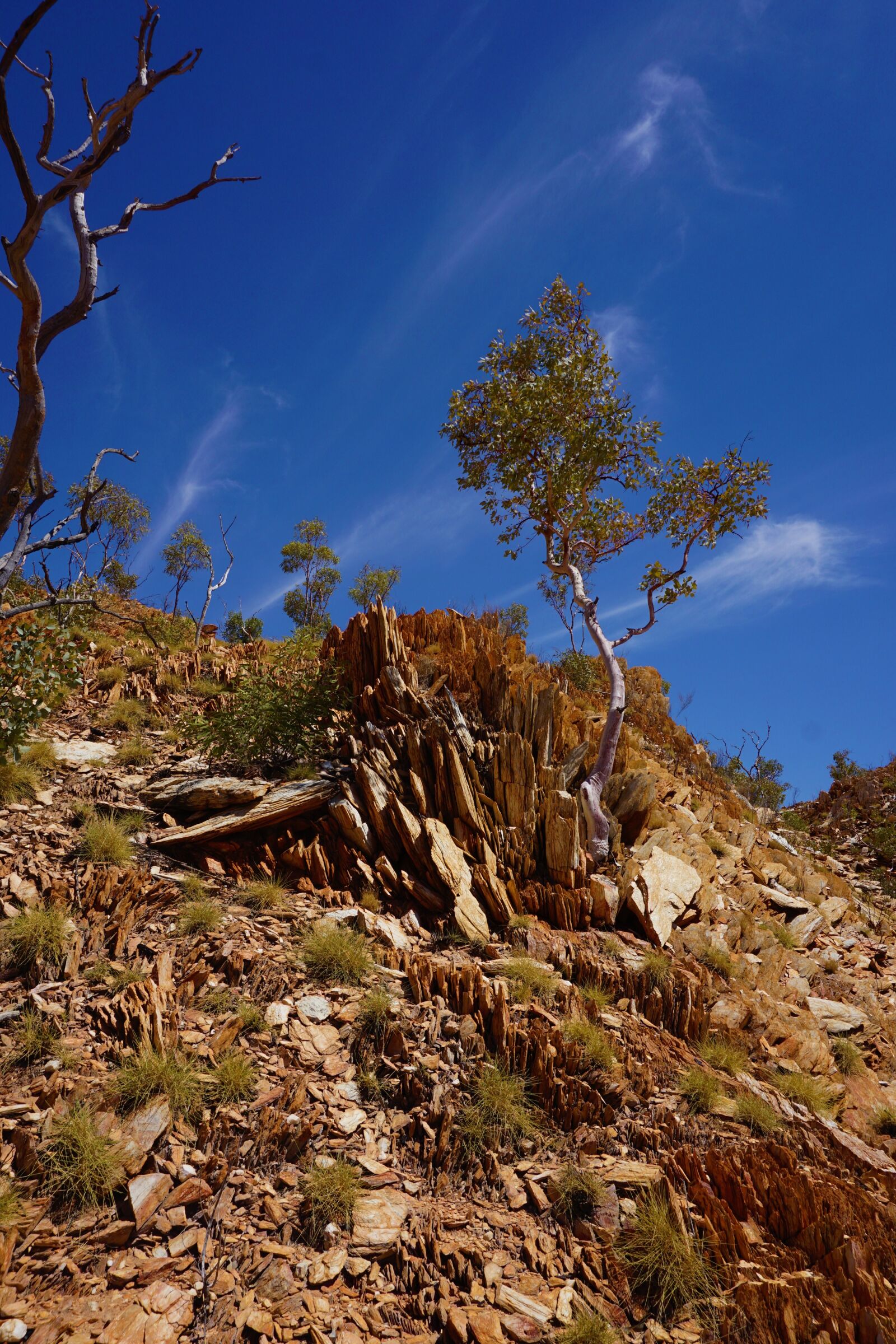 Sony a6000 sample photo. Mount isa, queensland, urquhart photography
