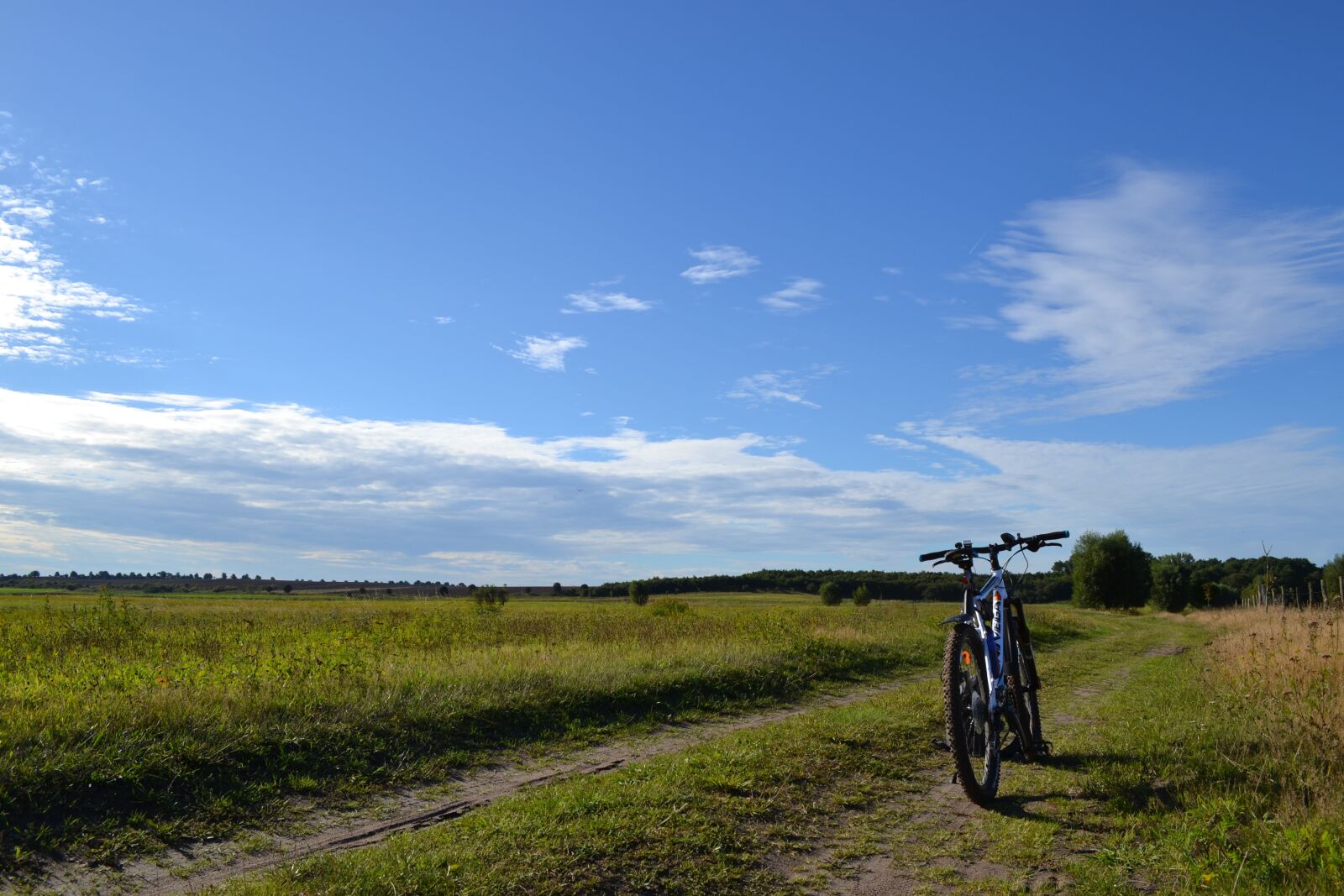 Nikon D3100 sample photo. Bike, mtb, away photography