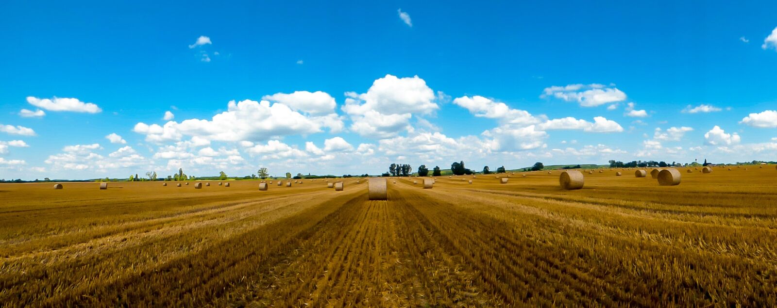 Panasonic DMC-FZ72 sample photo. Straw, straw bale, harvest photography